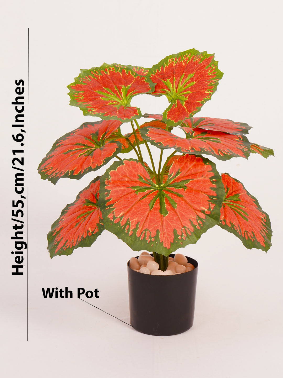 Artificial Calathea Plant - 55cm Tall