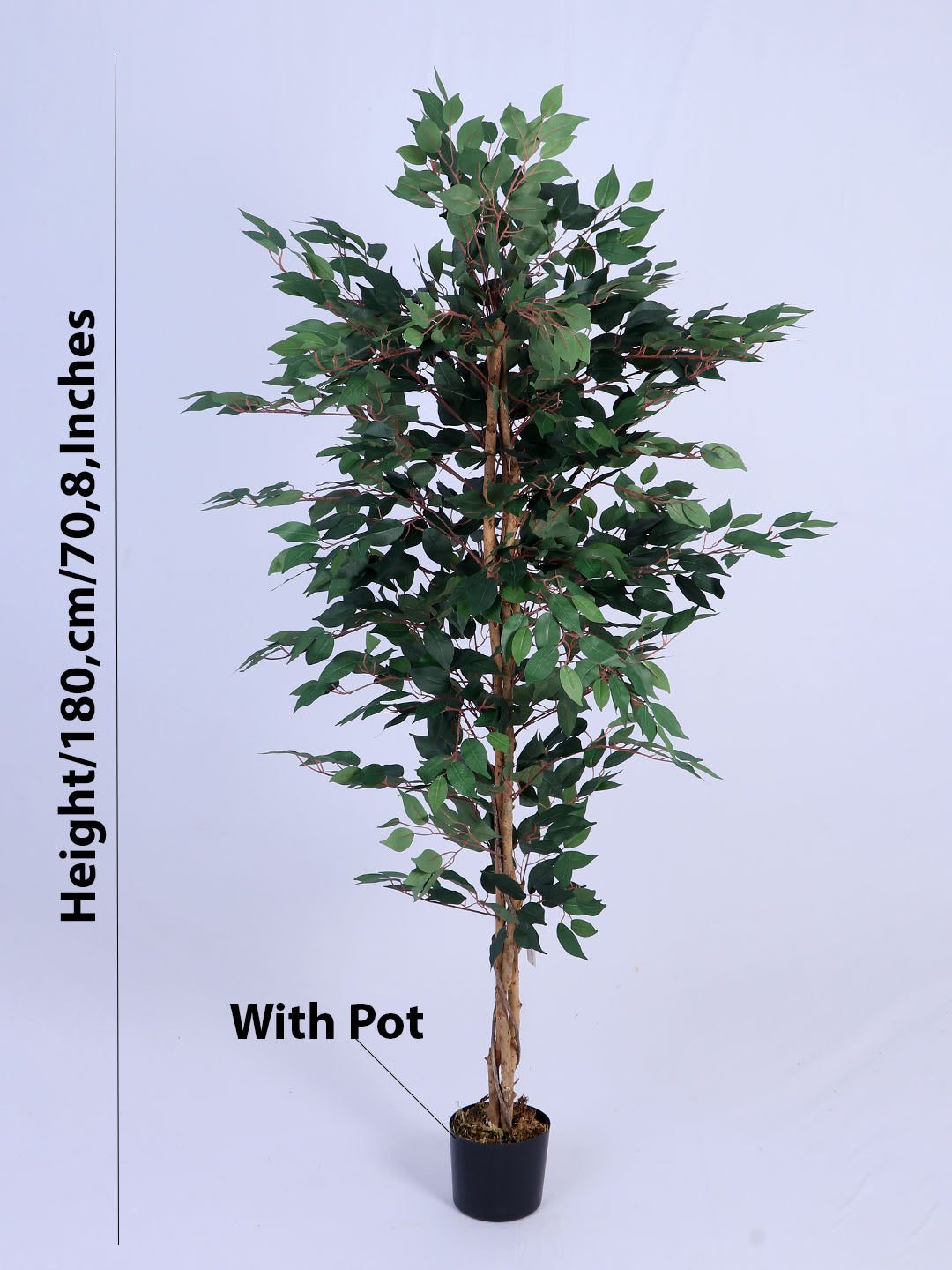 6Ft Artificial Ficus Tree in Pot