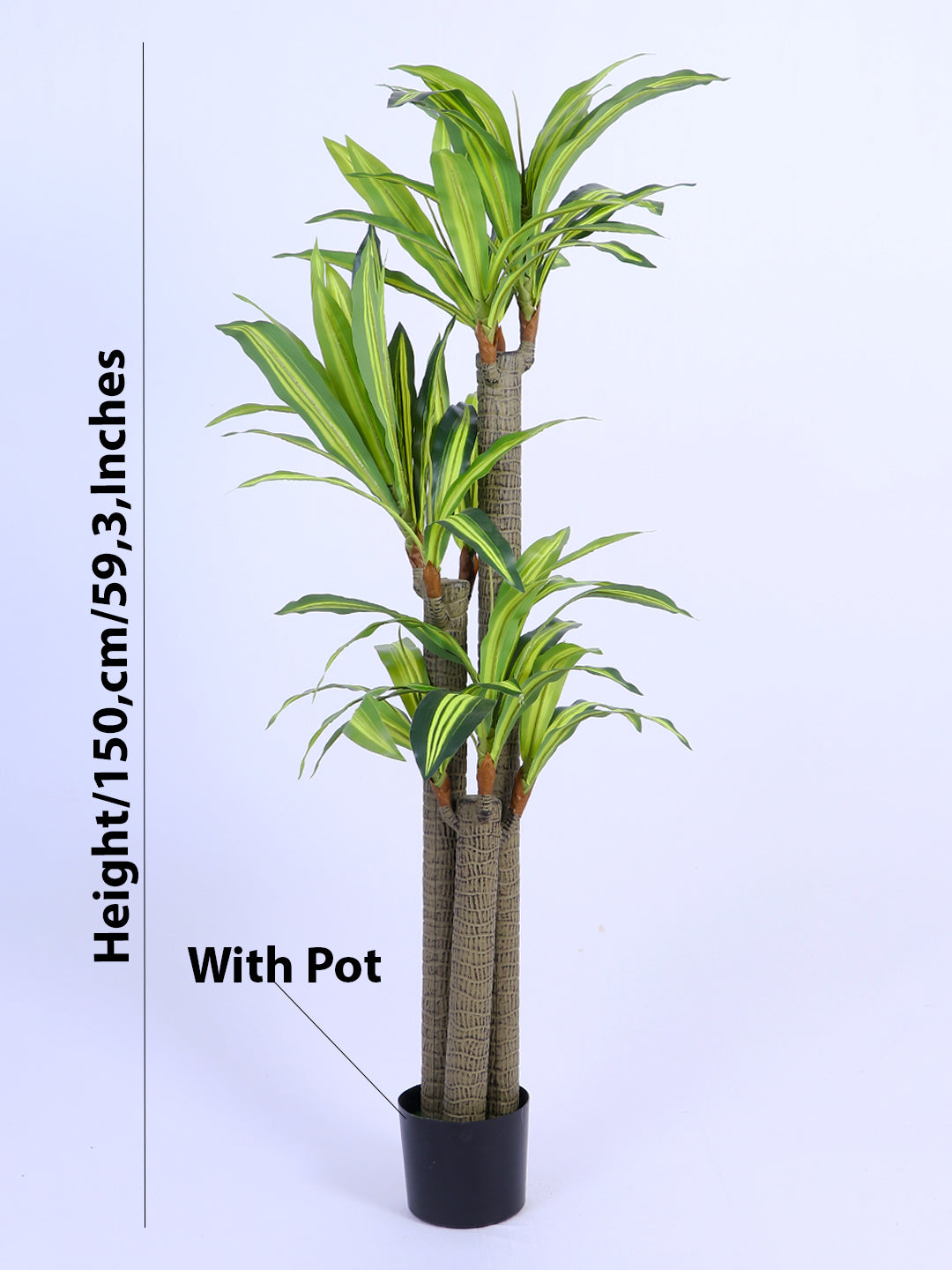 5Ft Artificial Dracaena Reflexa Tree in Pot