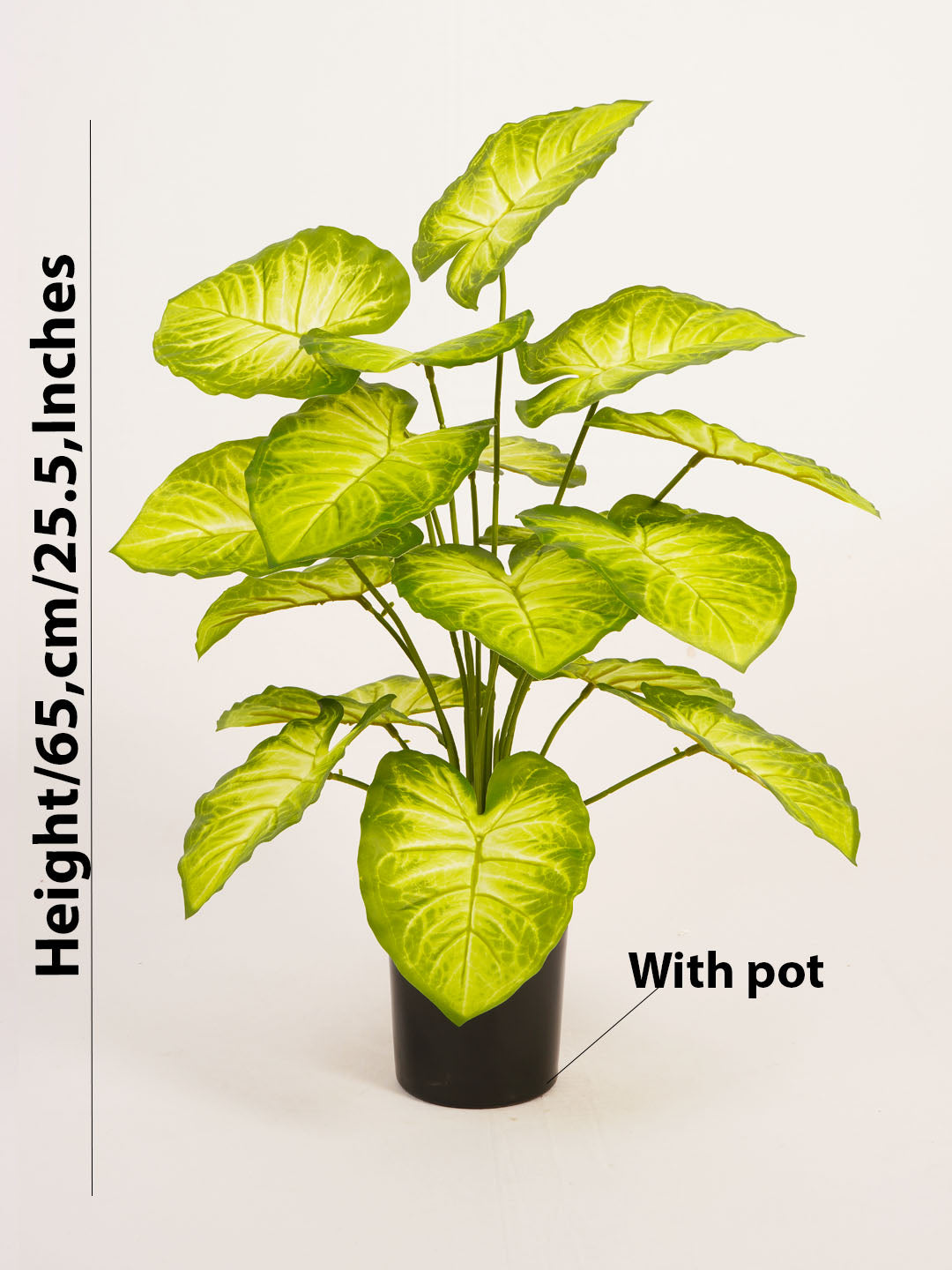 Artificial Dieffenbachia Plant - 65cm Tall