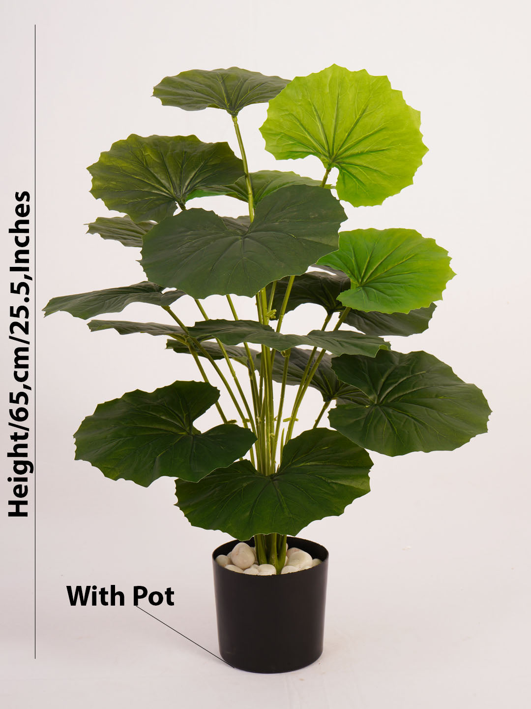 Artificial Rubber Plant - 65cm Tall