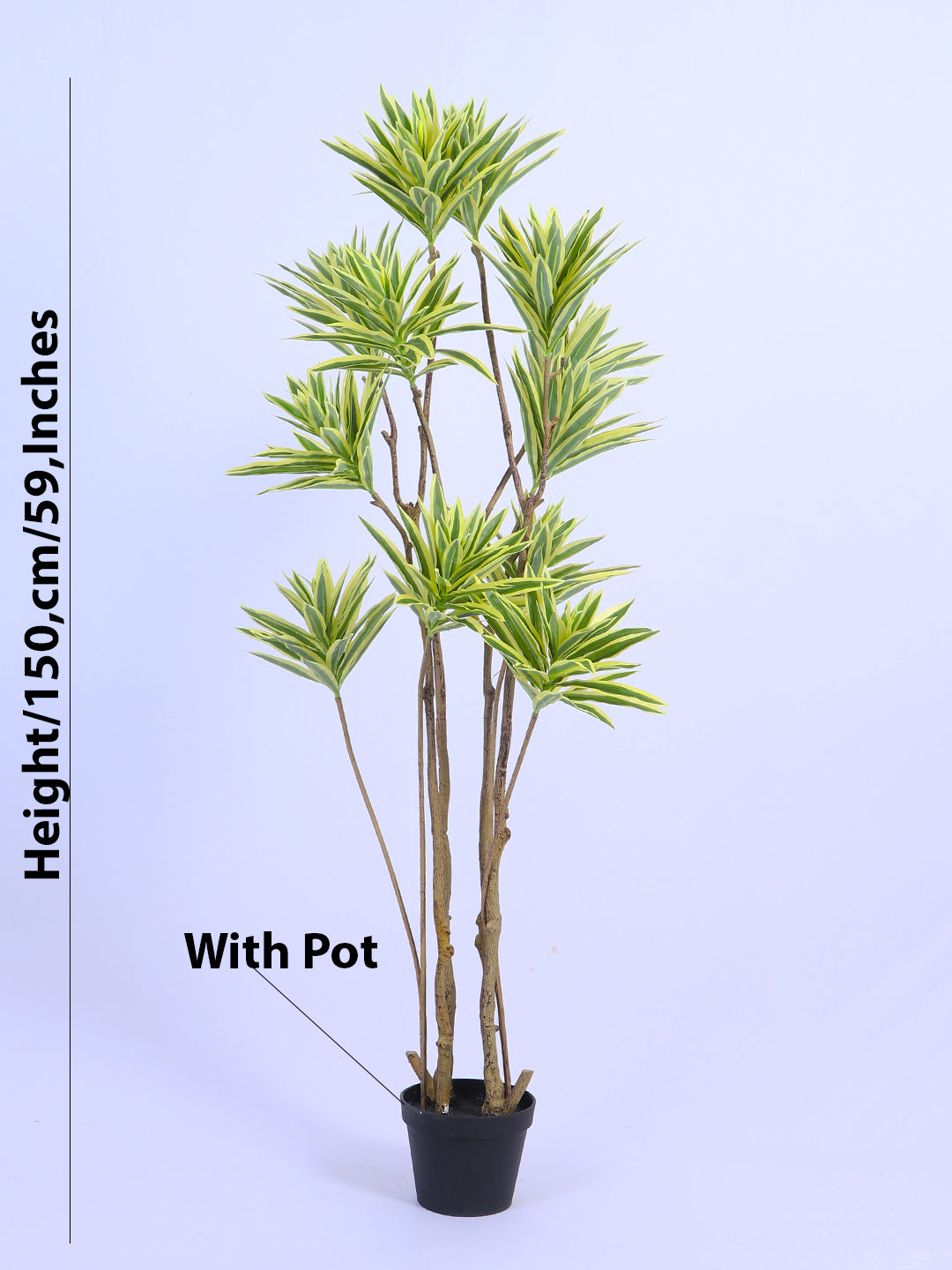 5ft Artificial Dracaena Reflexa Tree