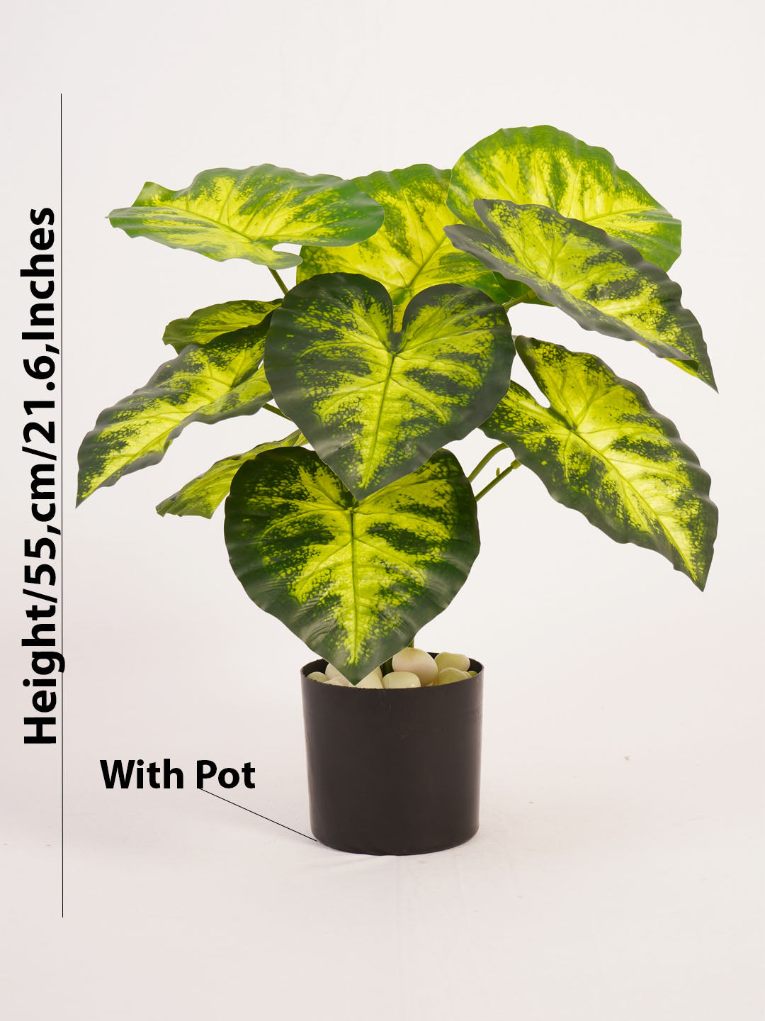 Artificial Dieffenbachia Plant - 55cm Tall