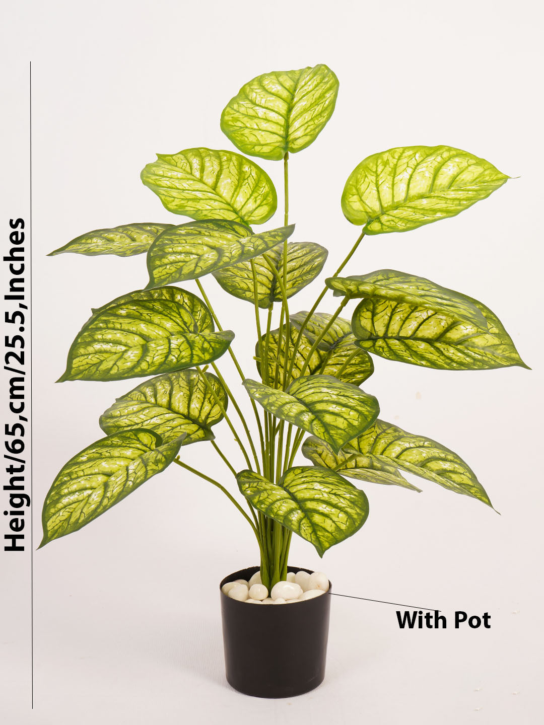 Artificial Dieffenbachia Plant - 65cm Tall