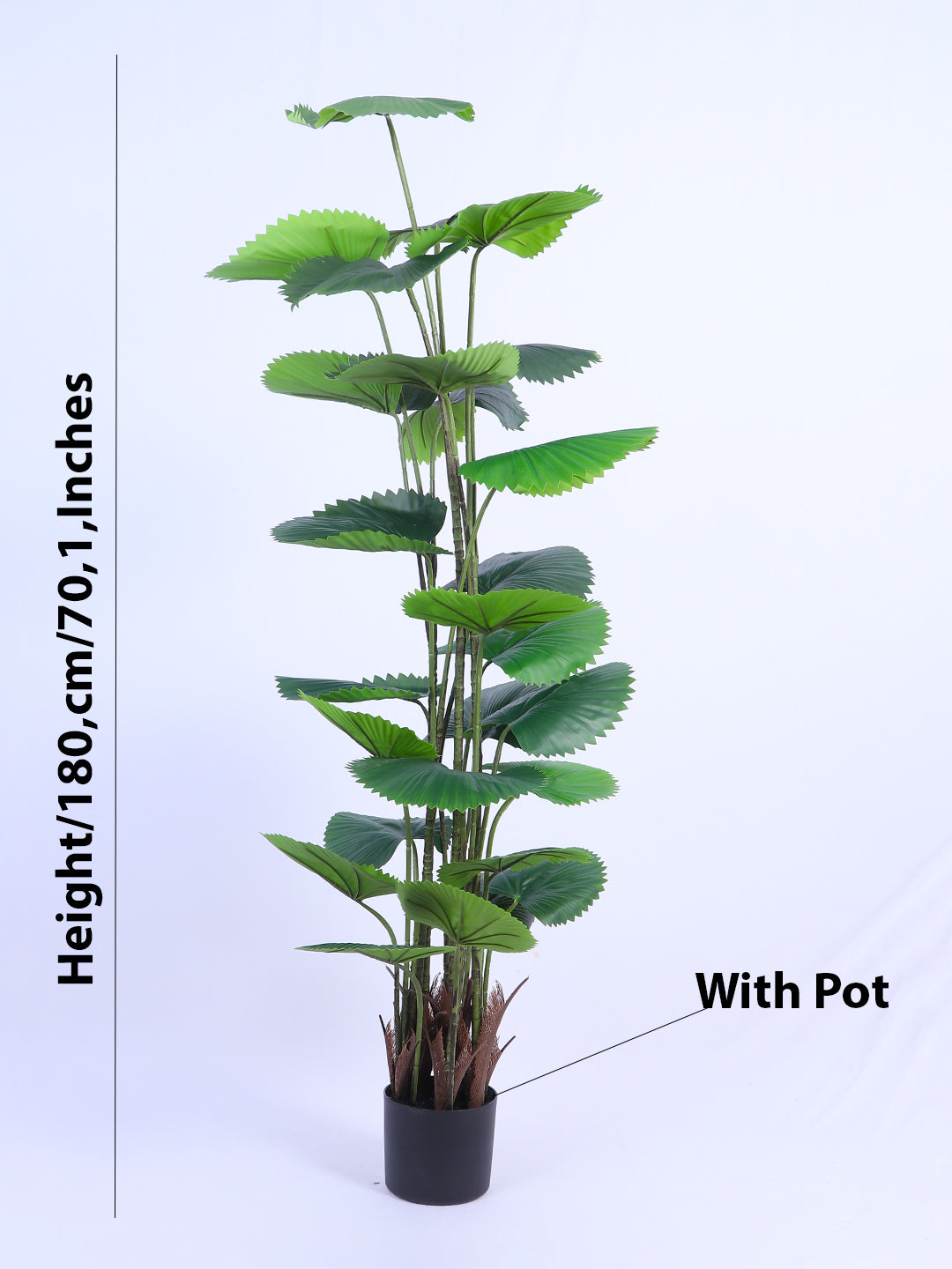 6Ft Artificial Ruffled Fan Palm Tree in Pot