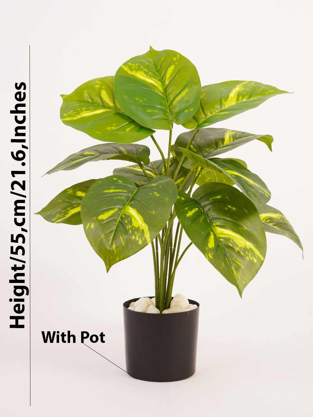 Artificial Pothos Plant - 55cm Tall