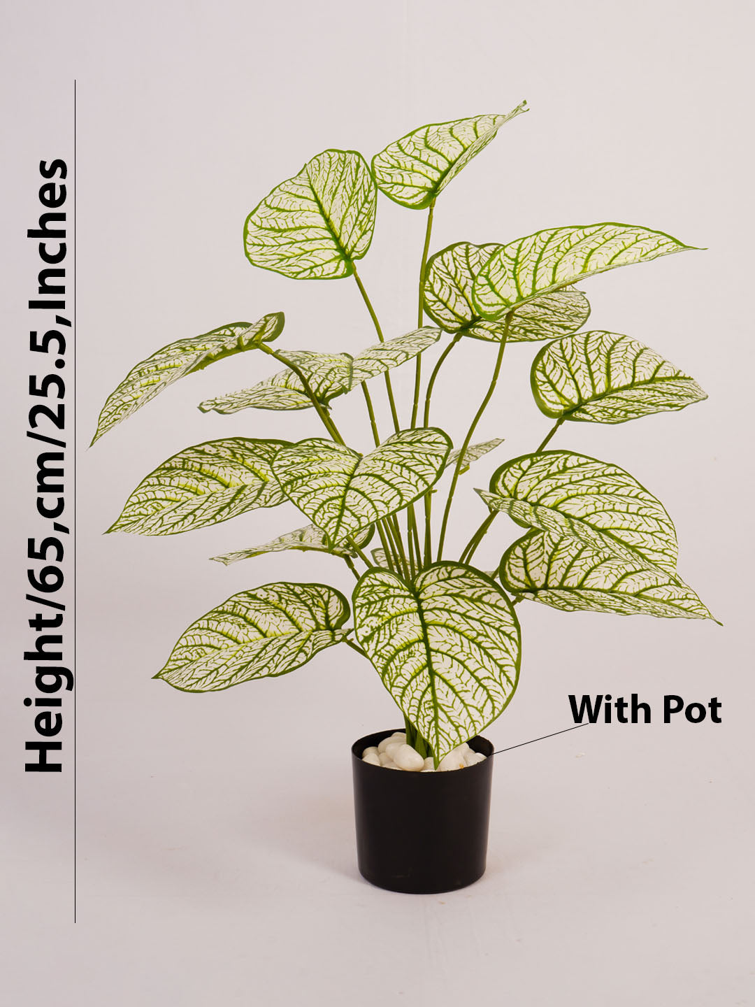 Artificial Dieffenbachia Plant - 65cm Tall