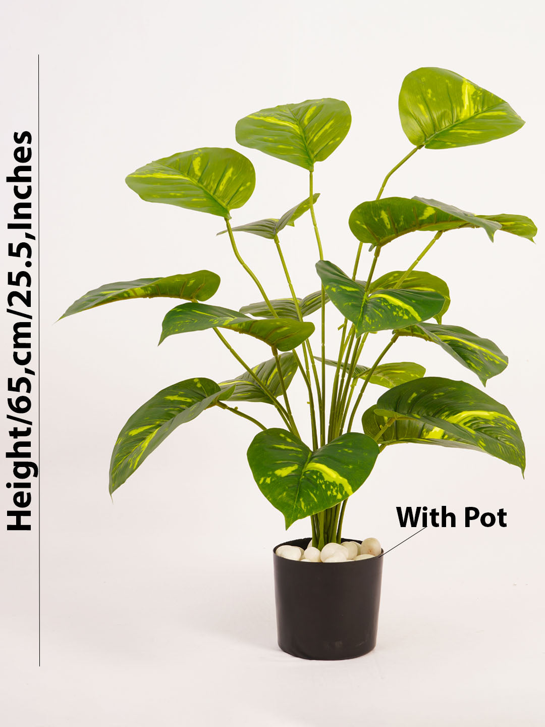 Artificial Money Plant - 65cm Tall