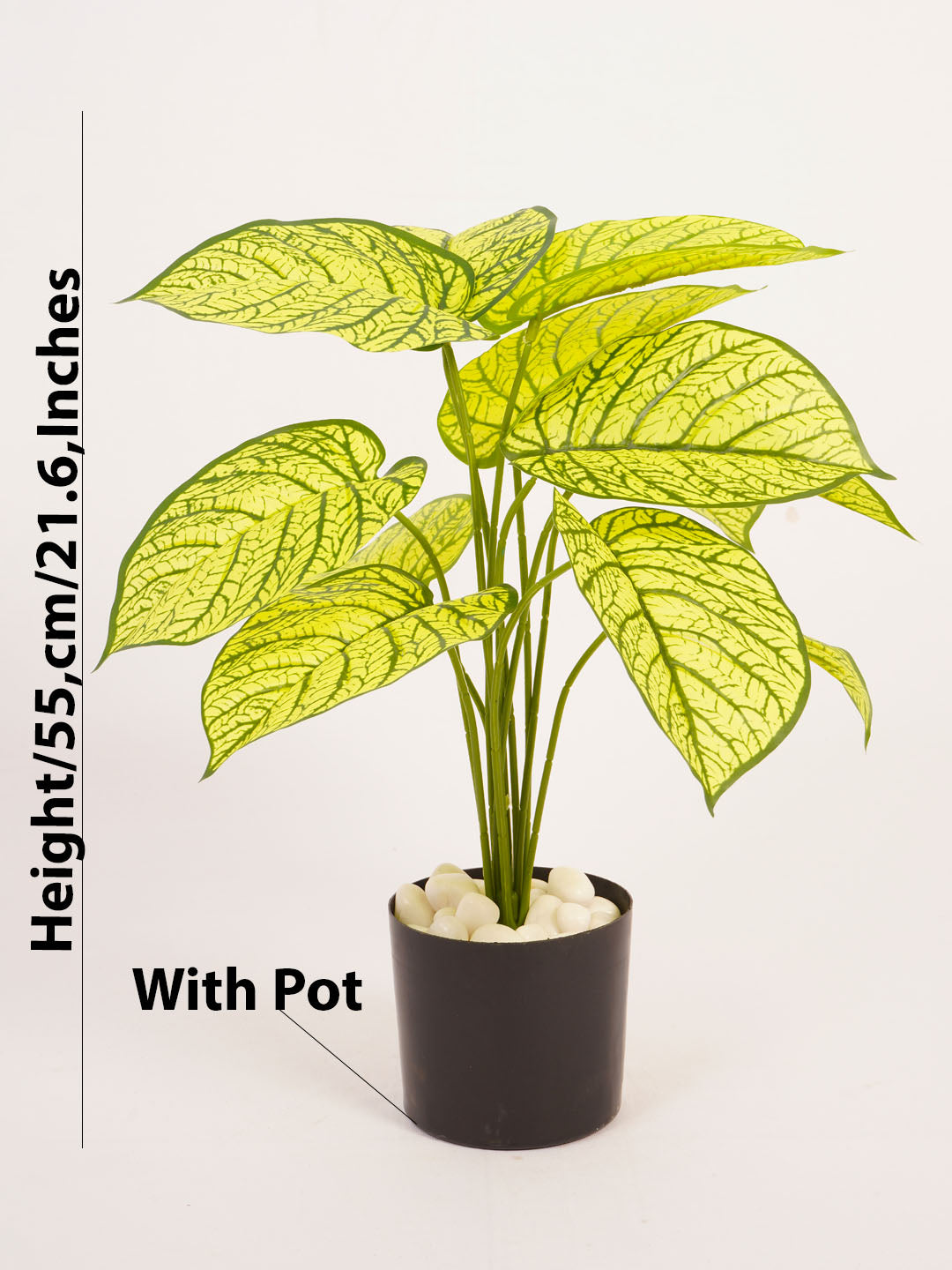 Artificial Dieffenbachia Plant - 55cm Tall
