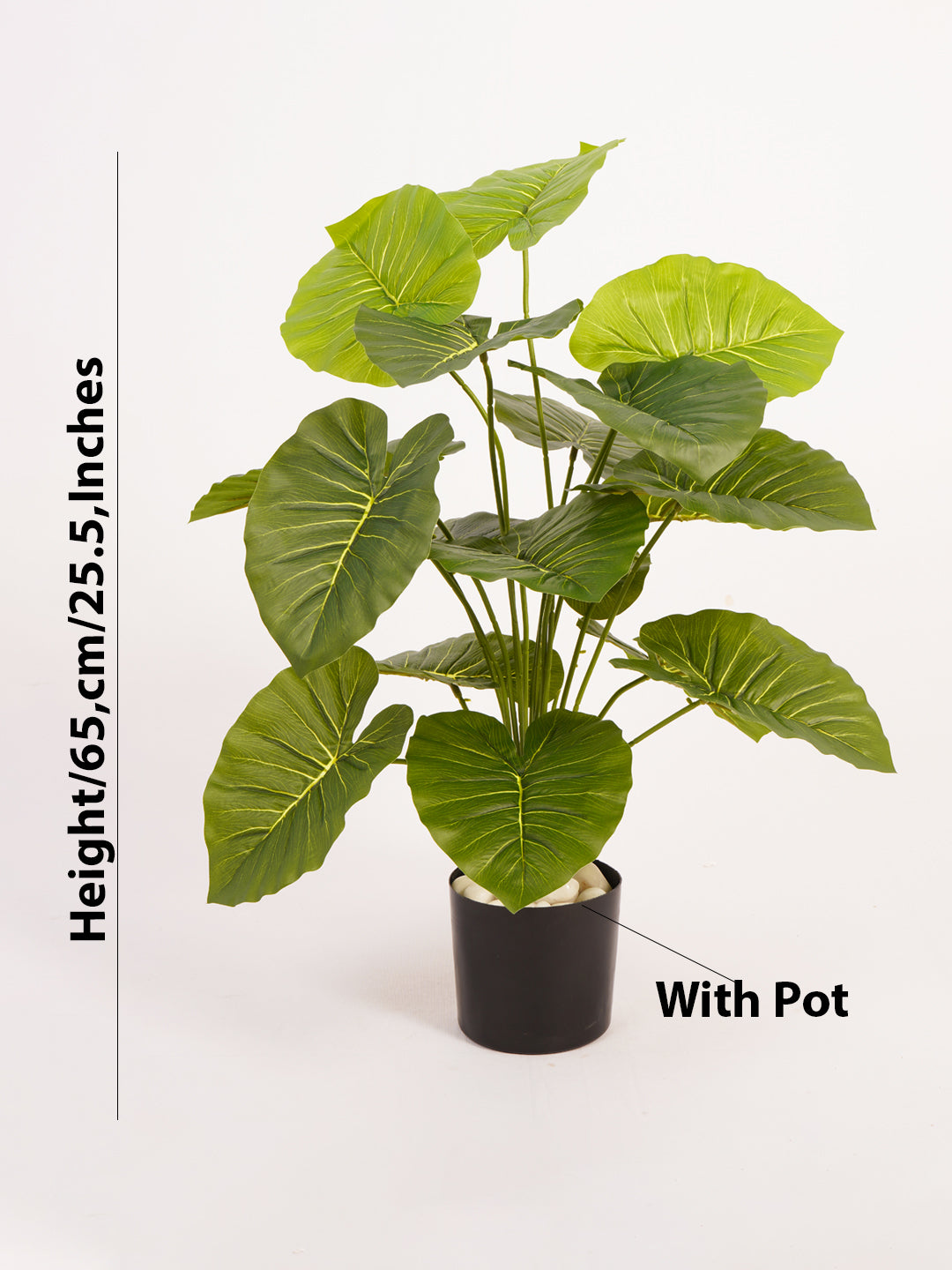 Artificial Rubber Plant - 65cm Tall