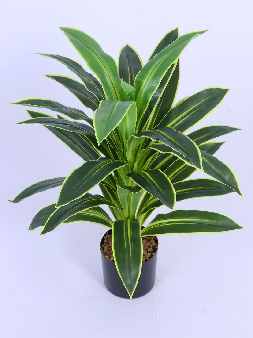3Ft Artificial Variegated Dracaena Plant in Pot