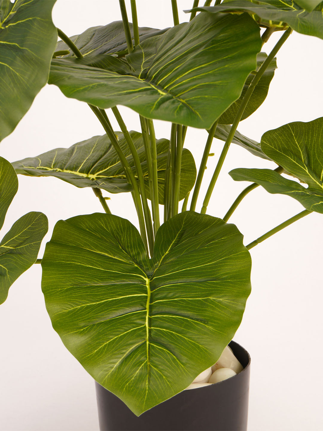 Artificial Rubber Plant - 65cm Tall