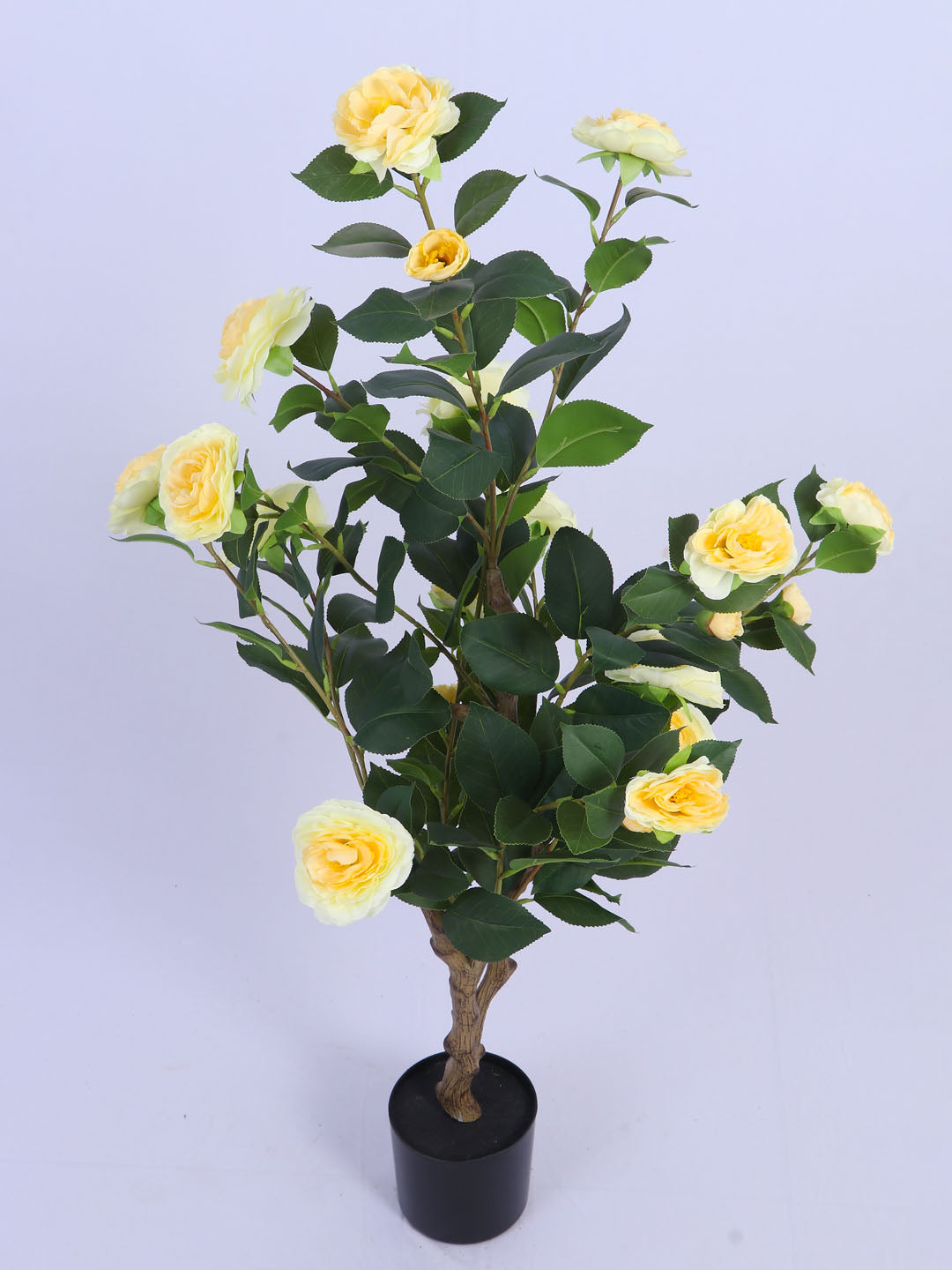 3.6Ft Artificial Camellia Flowers Plant with Pot