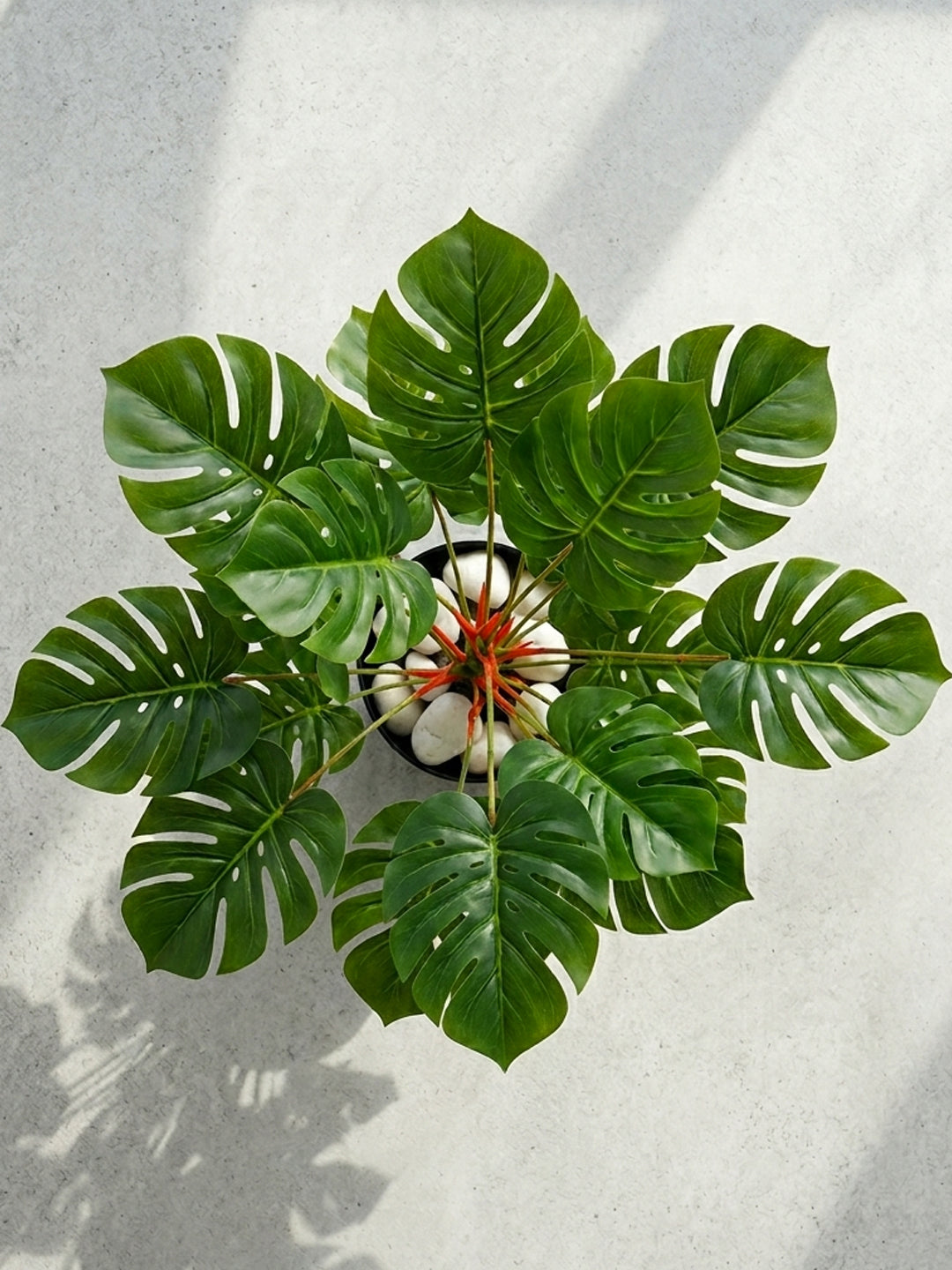 1.8Ft Artificial Rubber Plant in Black Pot