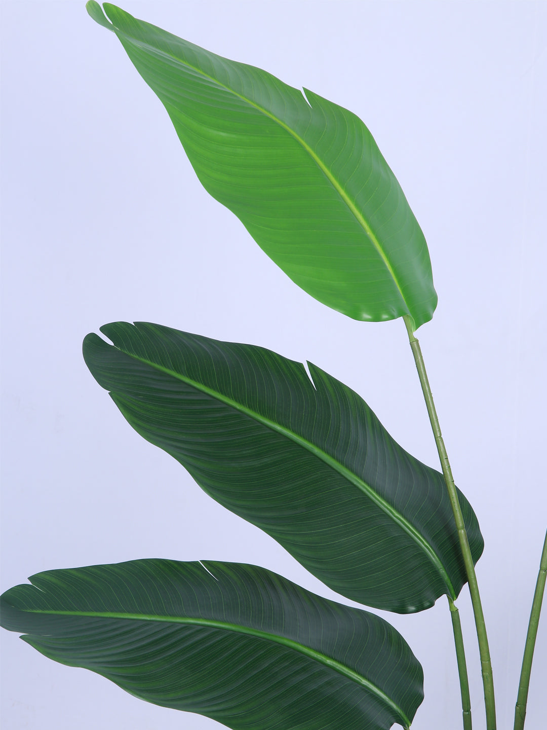 5Ft Artificial Bird of Paradise Tree in Pot