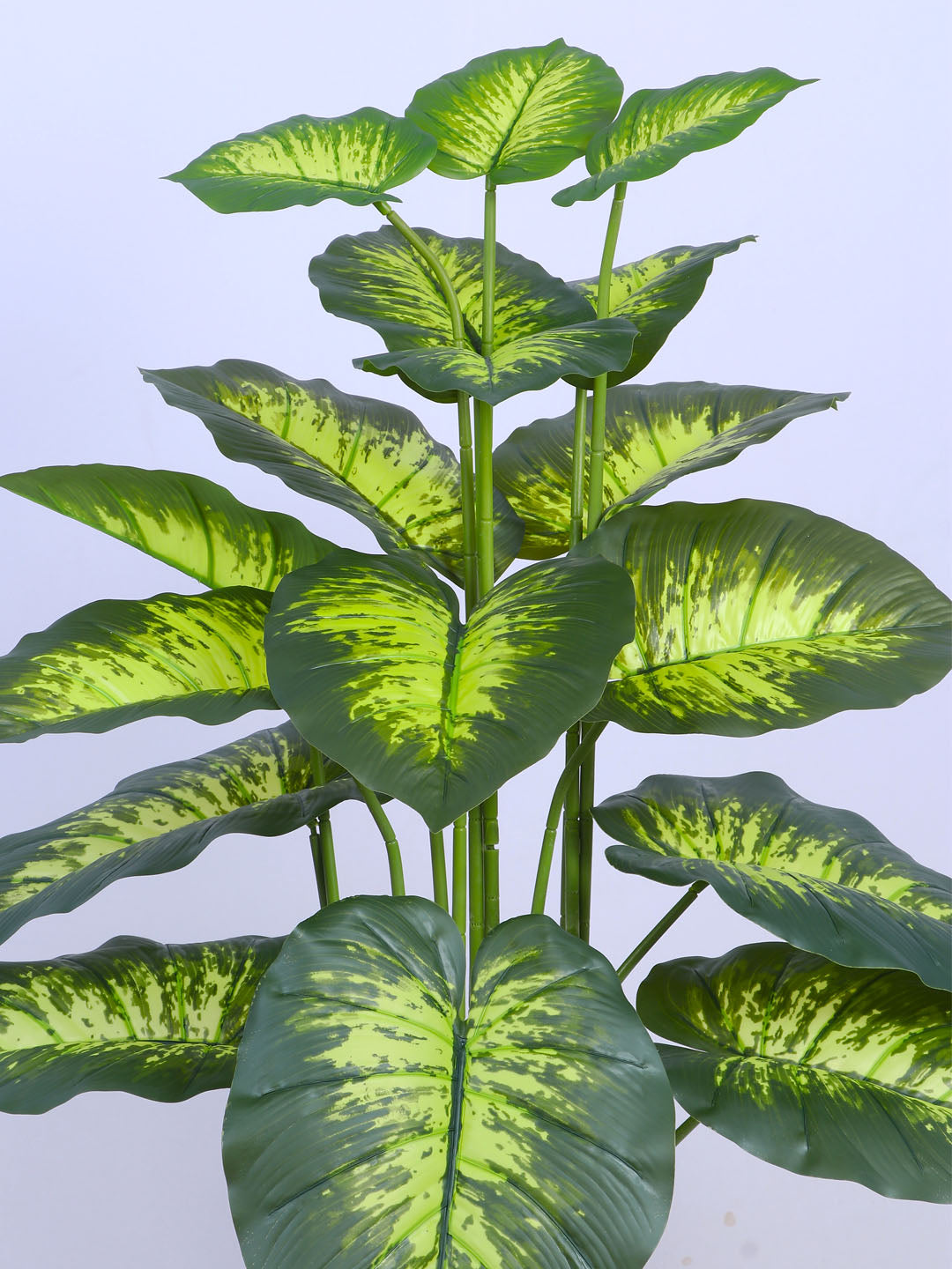 4Ft Artificial Dieffenbachia Plant in Black Pot