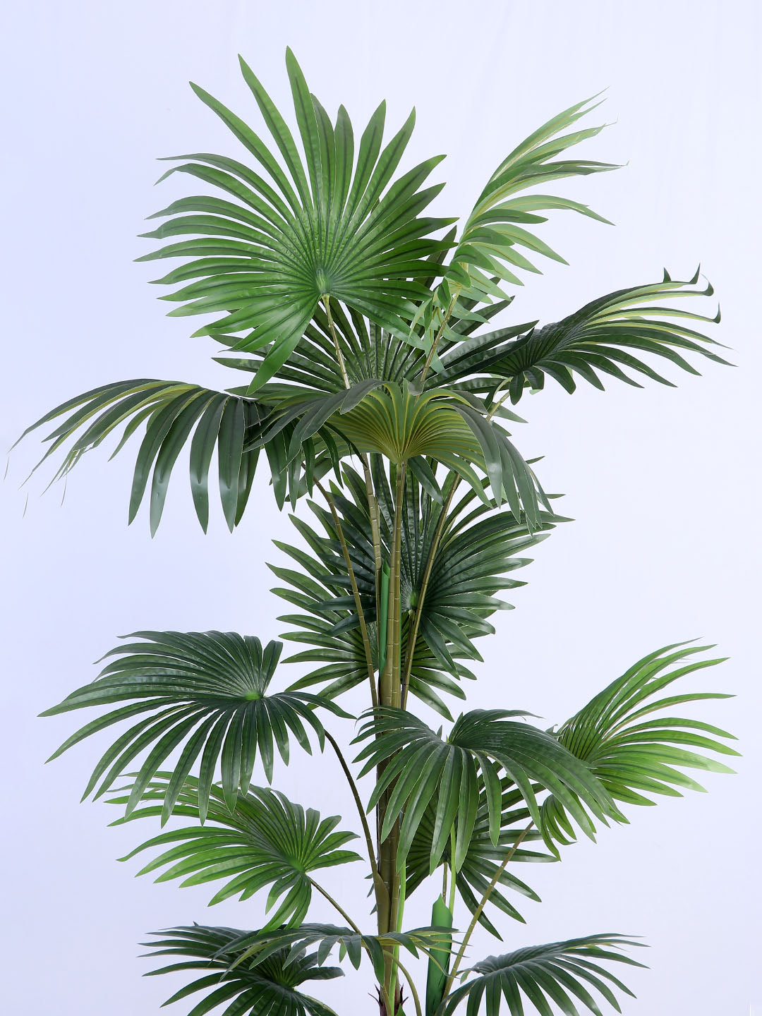 6Ft Artificial Palmetto Palm Tree in Pot)