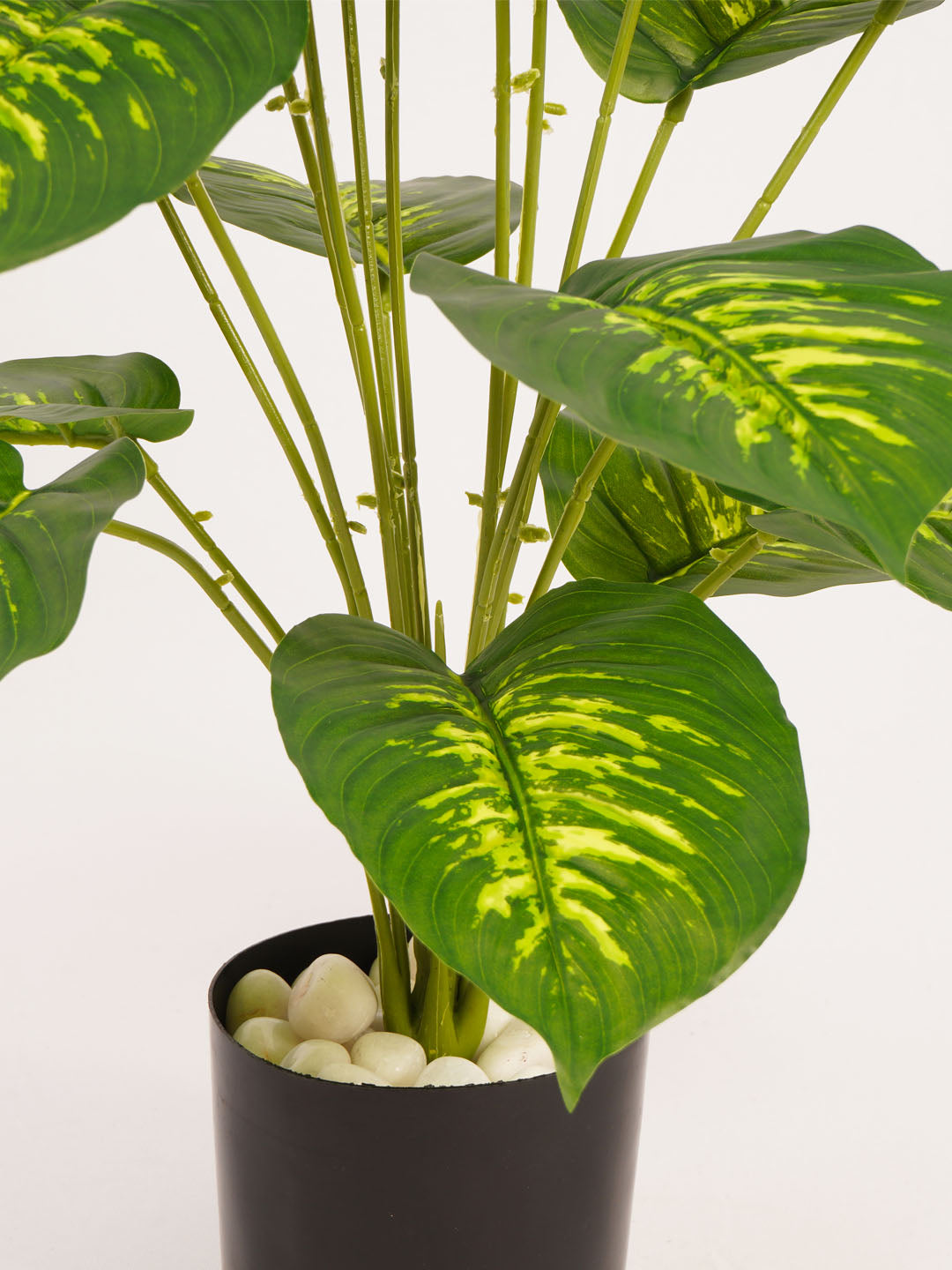Artificial Dieffenbachia Plant in Black Pot