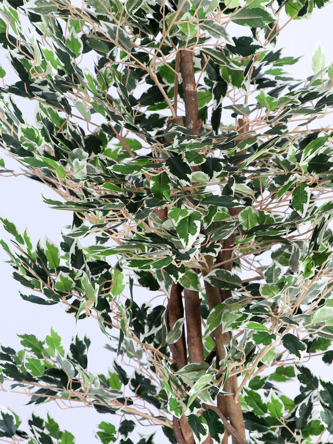 5.2Ft Artificial Variegated Ficus Tree