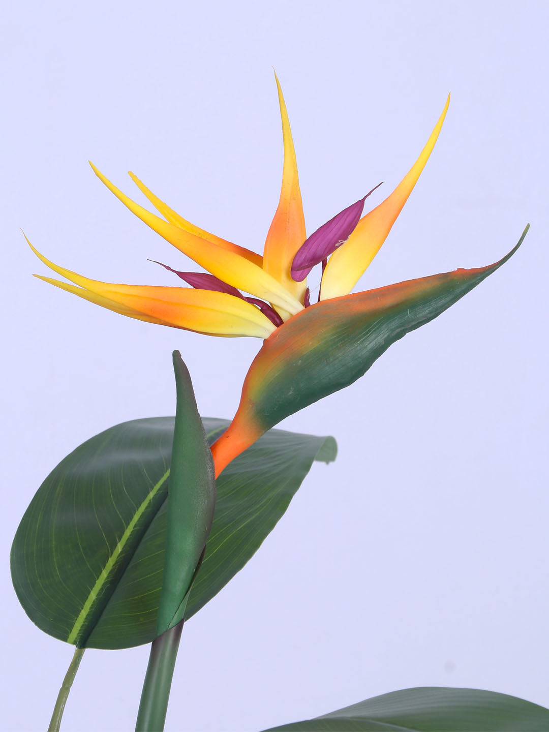 5Ft Artificial Bird of Paradise Plant in Pot