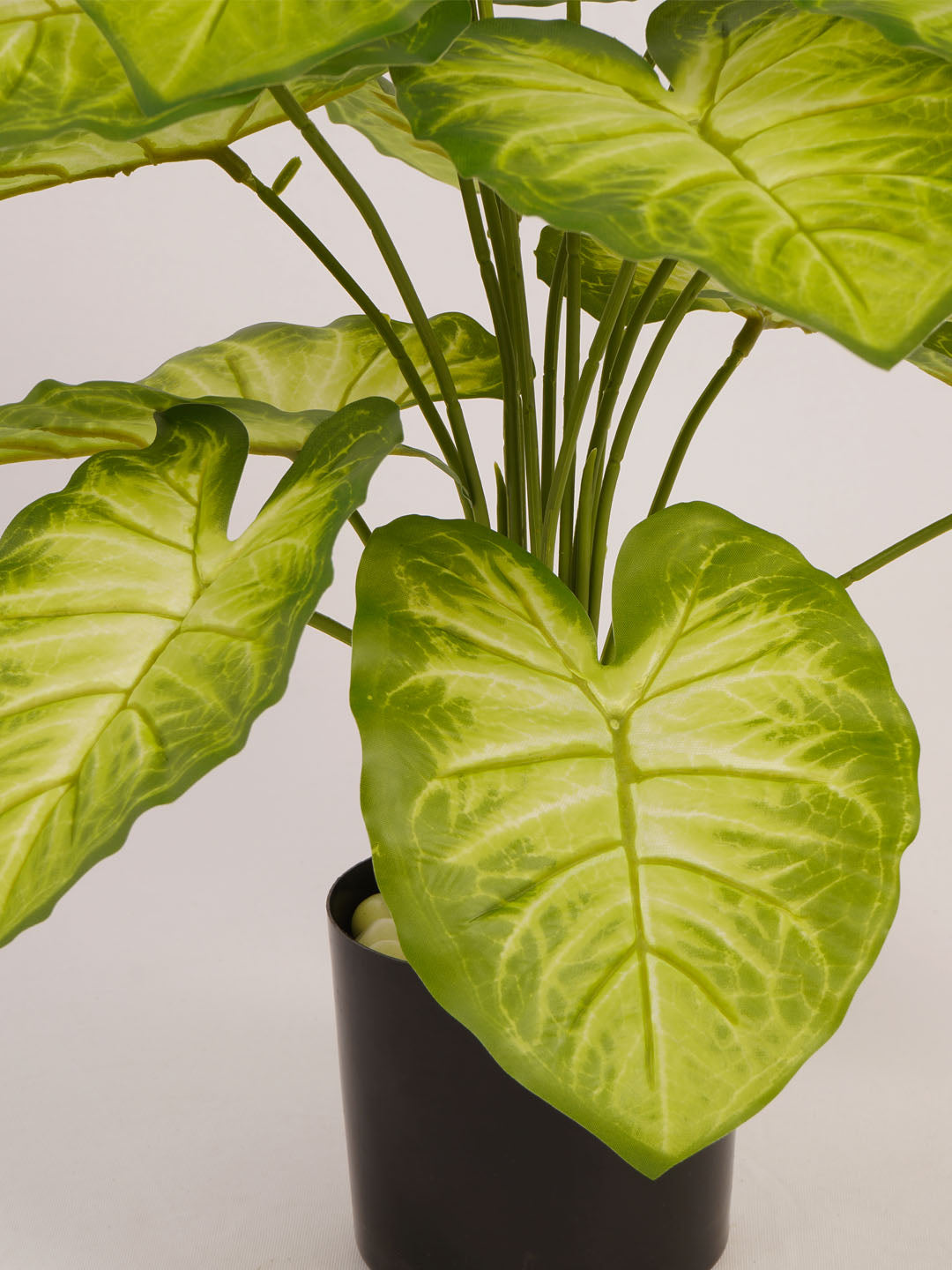 Artificial Dieffenbachia Plant - 65cm Tall