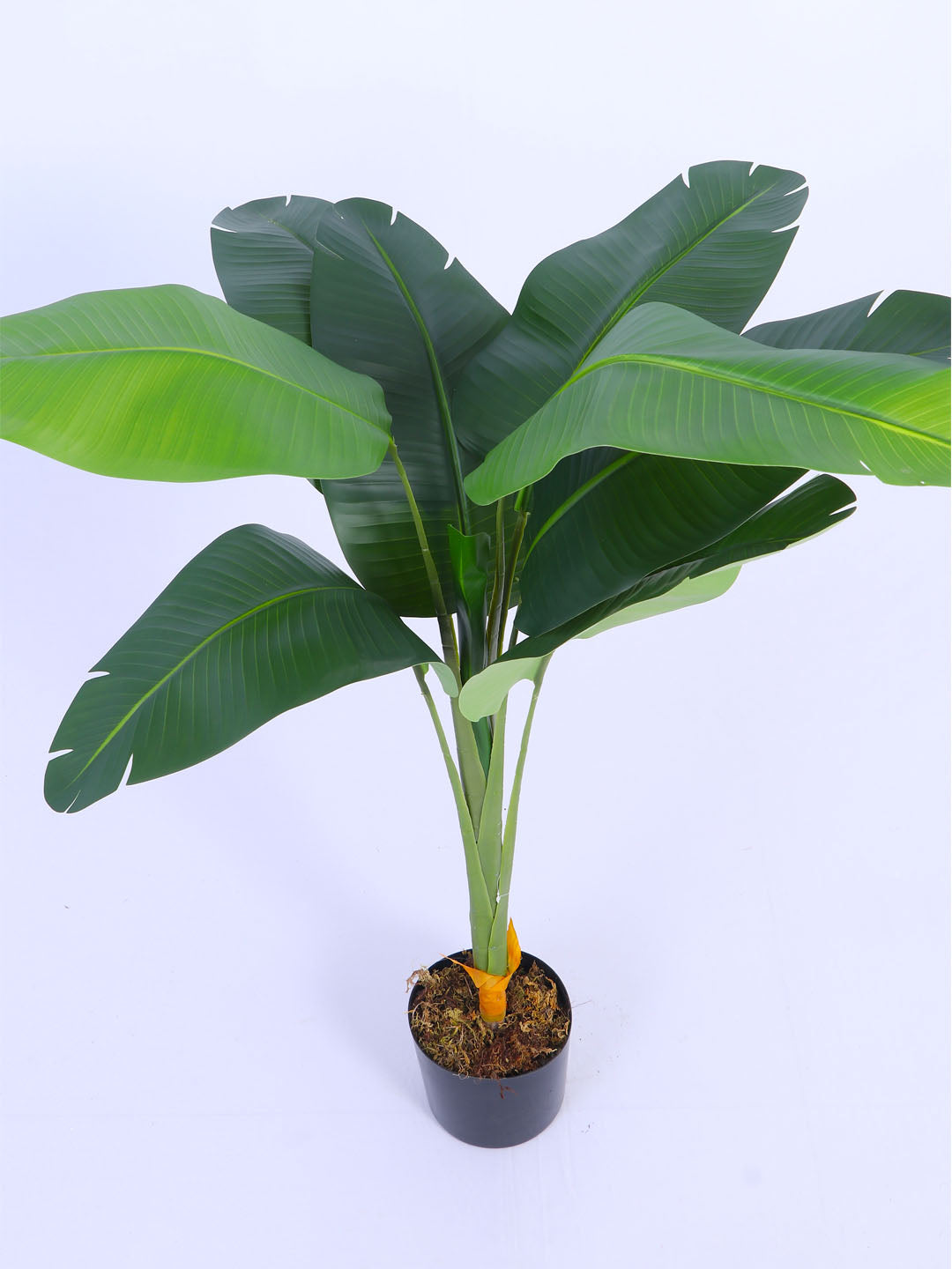 4fT Artificial Banana Plant with Pot