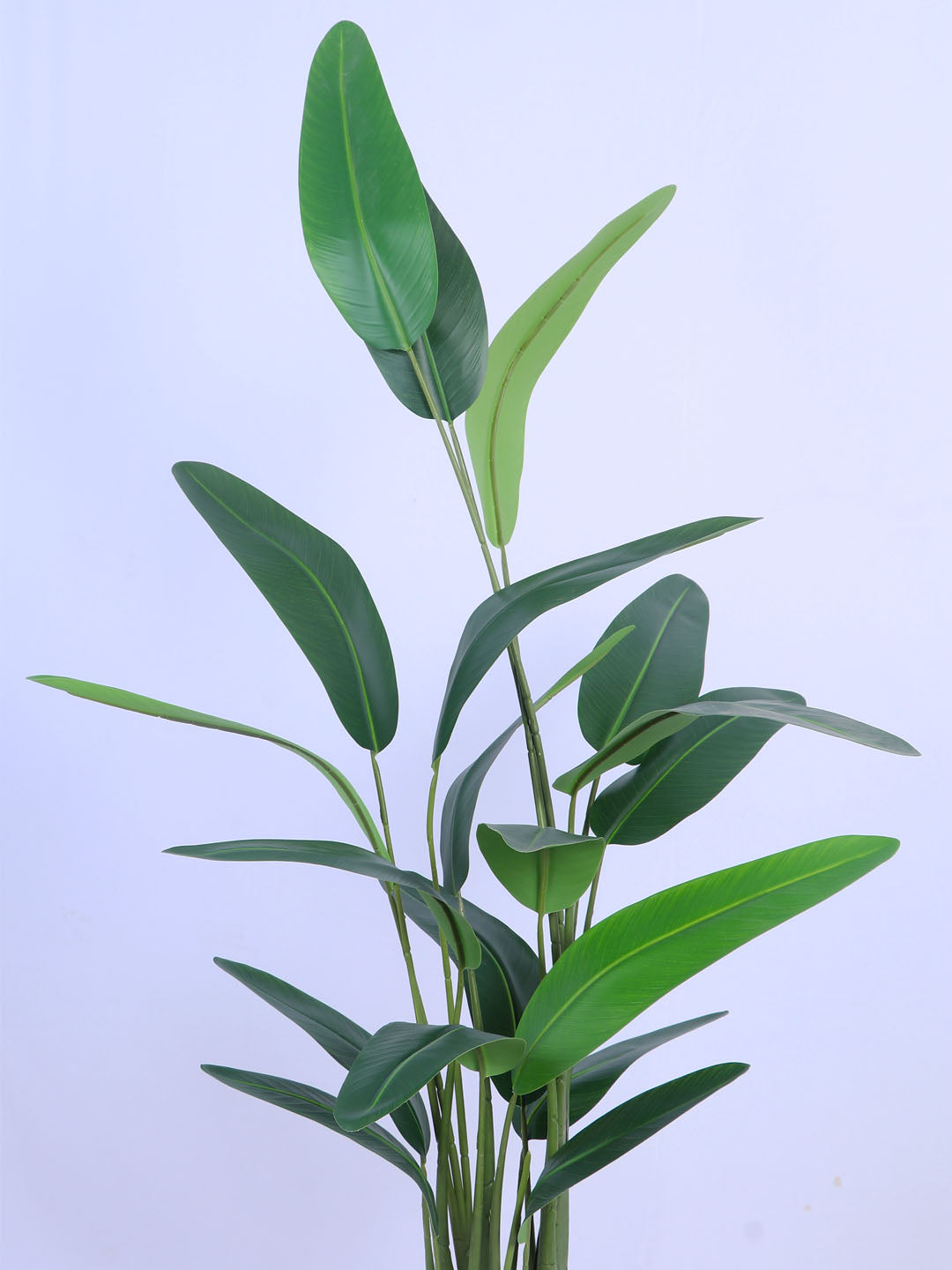 6Ft Artificial Bird of Paradise Plant in Pot