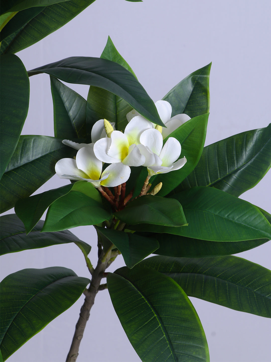 5ft Artificial Frangipani Tree