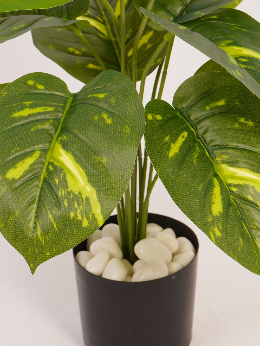 Artificial Pothos Plant - 55cm Tall