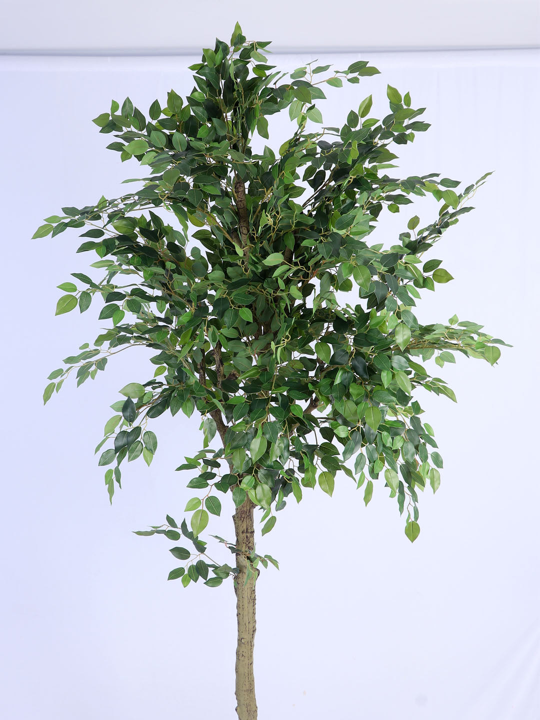 6.5Ft Large Artificial Ficus Tree