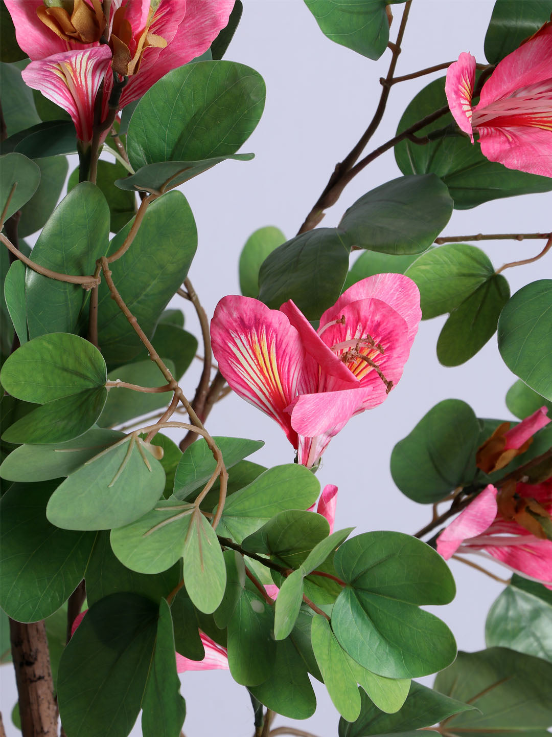 5Ft Artificial Pink Bauhinia Flowers Tree in Pot