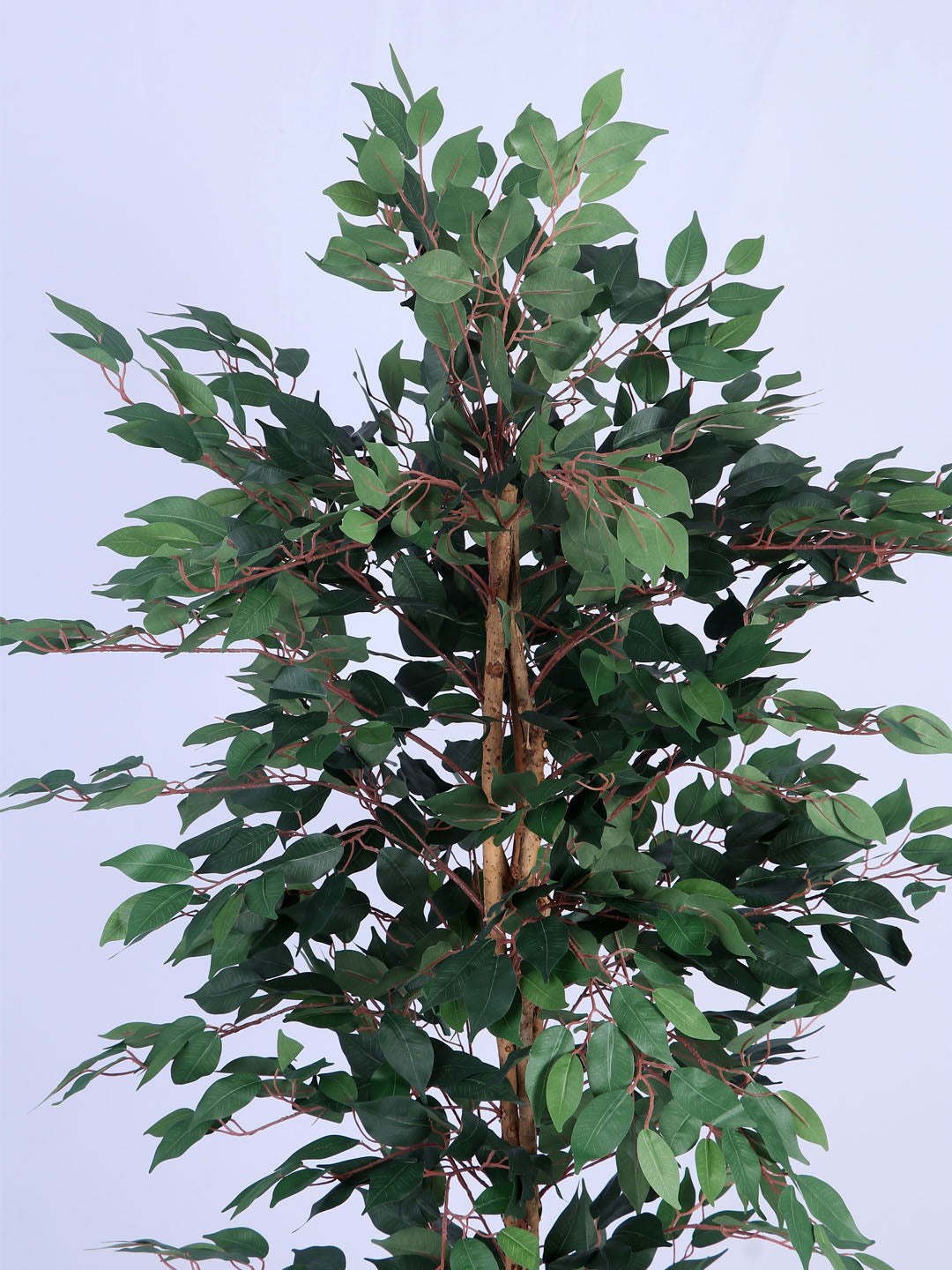 6Ft Artificial Ficus Tree in Pot