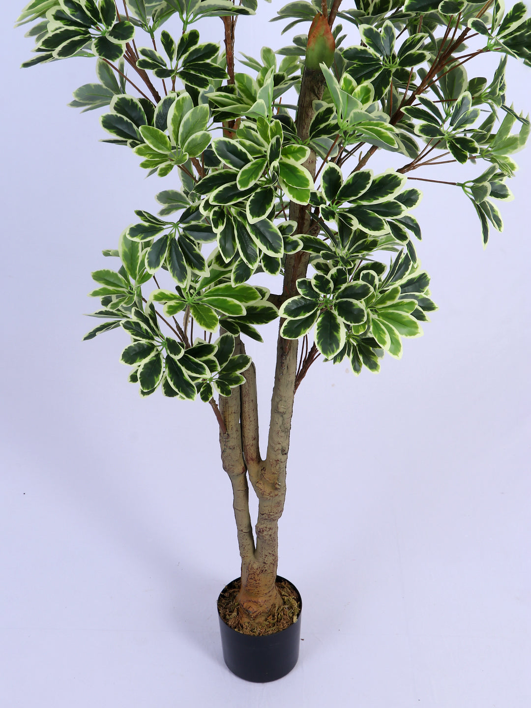 6Ft Artificial Umbrella Schefflera Tree in Pot