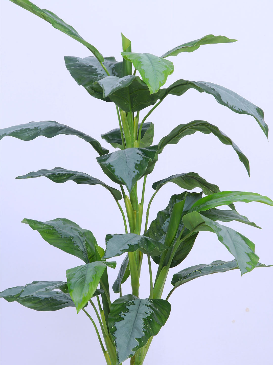 3.1Ft Artificial Dieffenbachia Plant in Pot