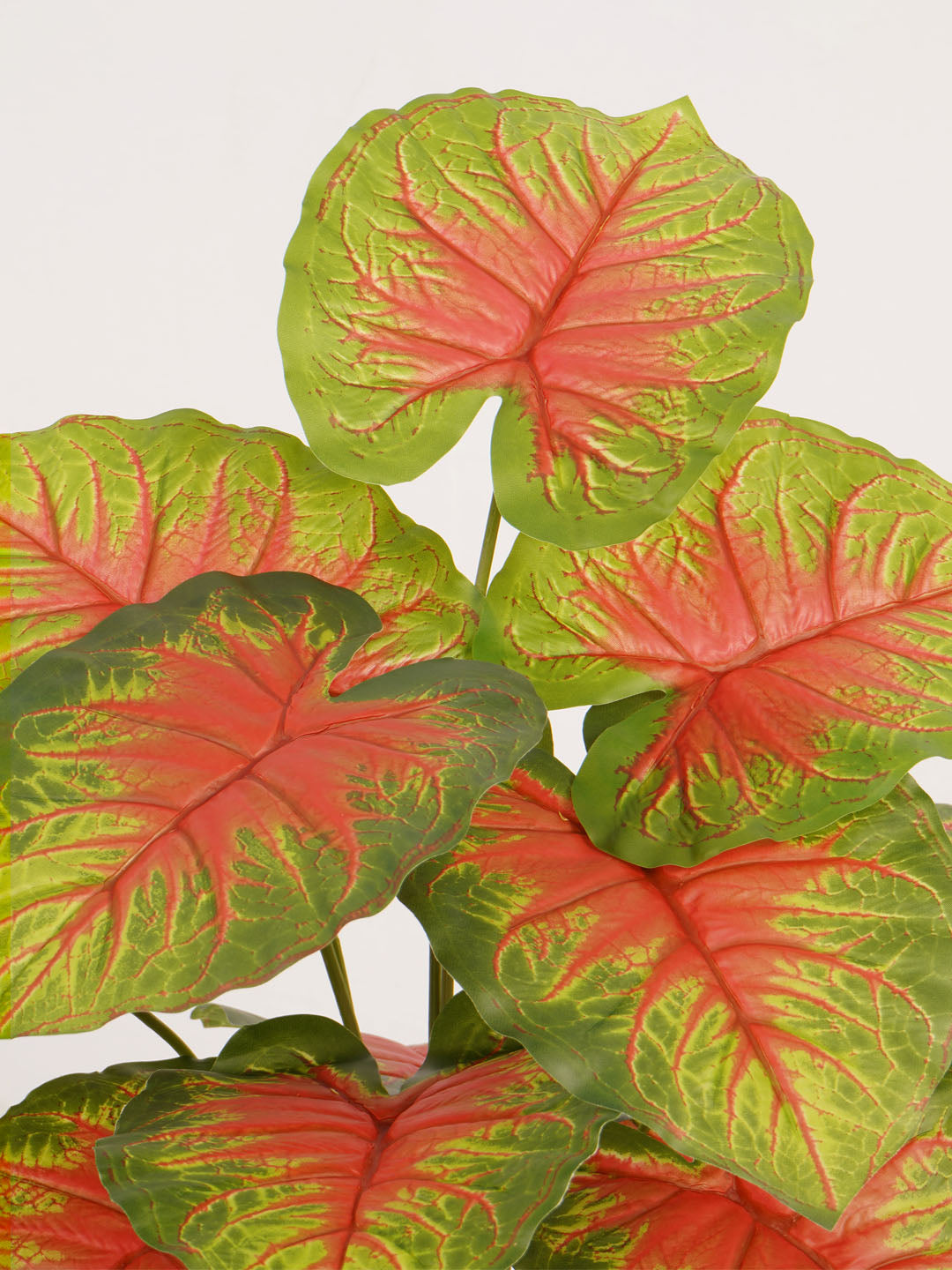 Artificial Caladium Plant - 65cm Tall