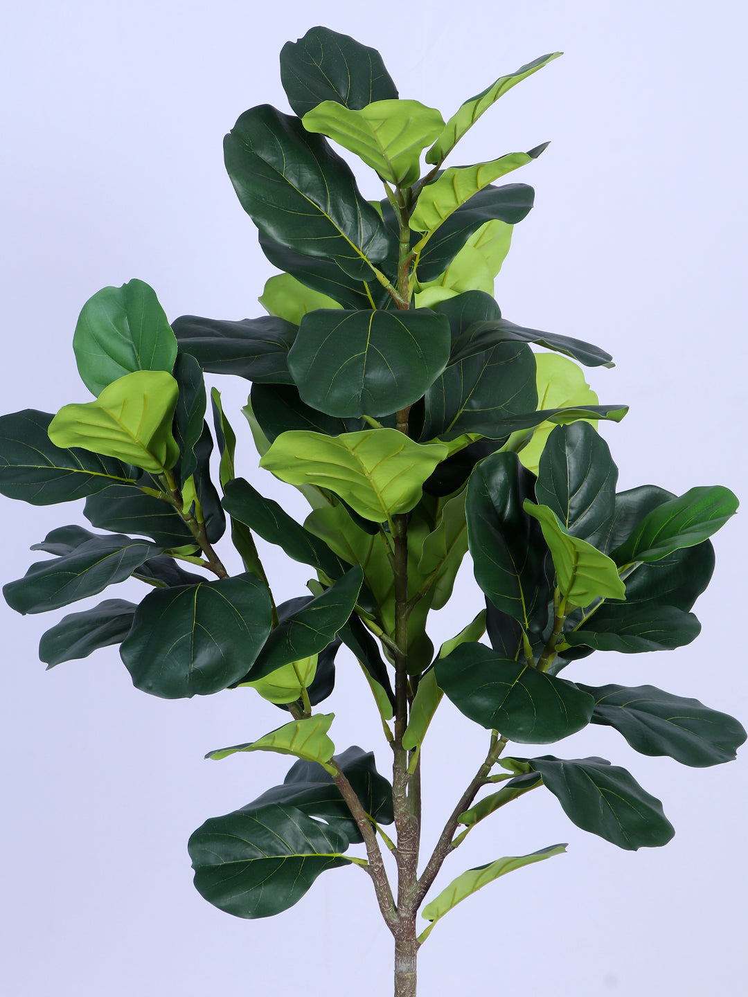 6Ft Artificial Fiddle Leaf Fig Tree in Pot