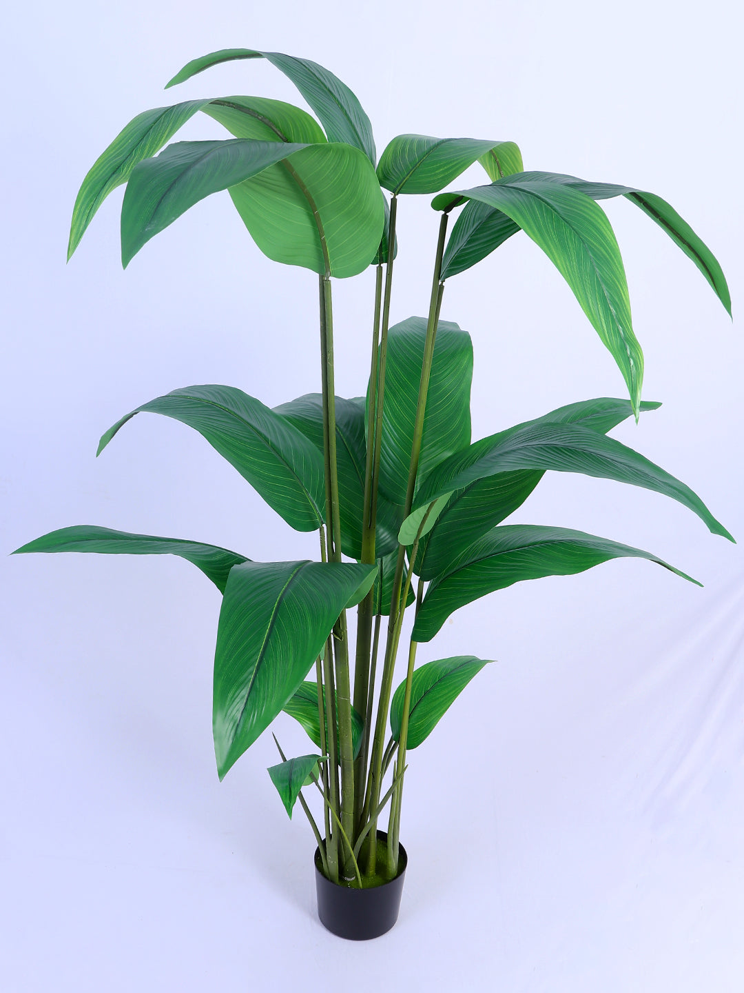 5Ft Artificial Bird of Paradise Tree in Pot