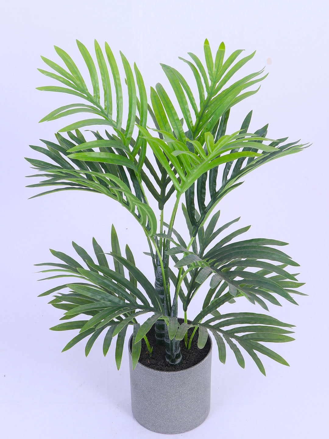 1.6Ft Artificial Golden Areca Palm Plant with Black Pot