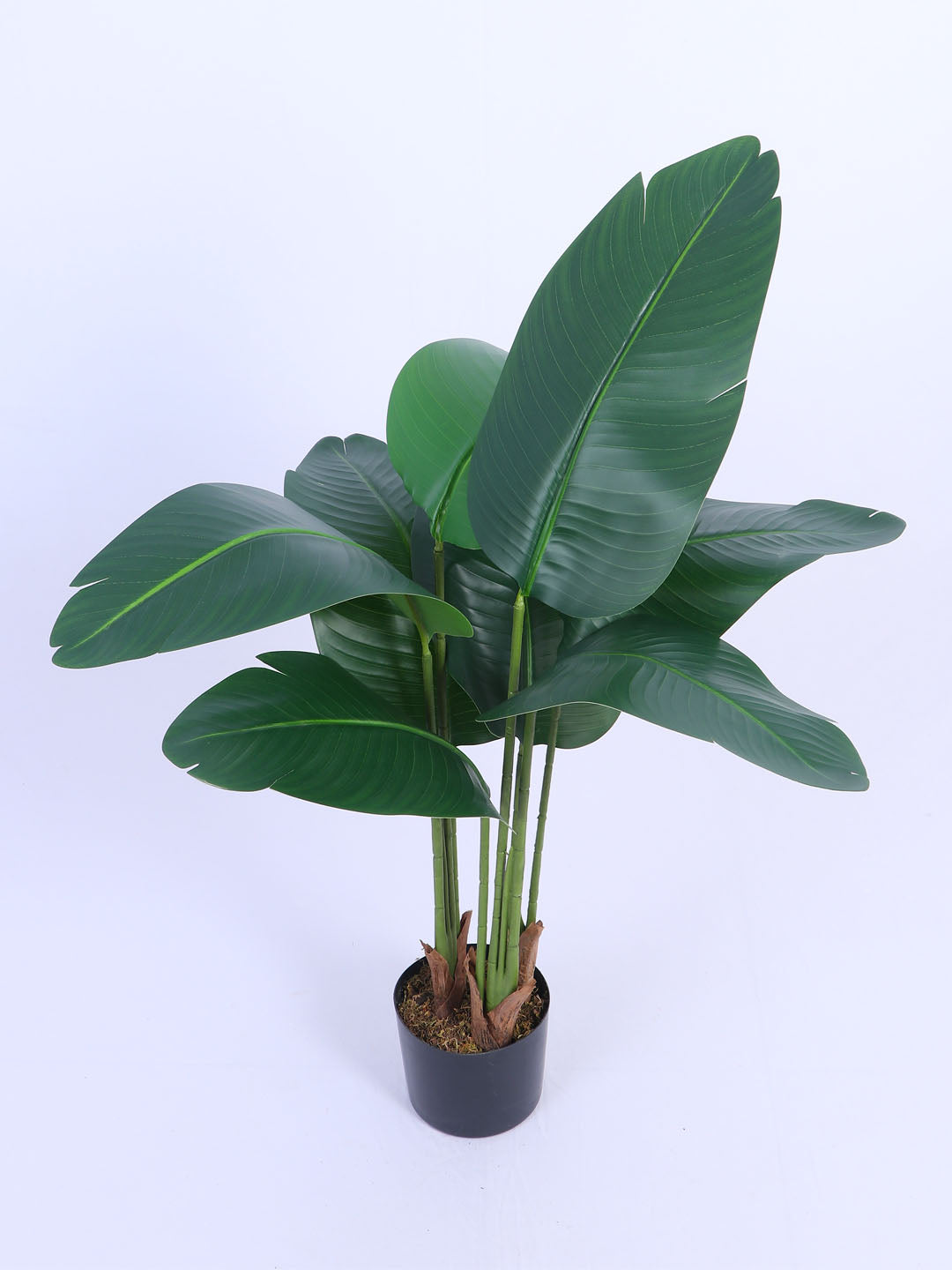 4fT Artificial Banana Plant with Pot