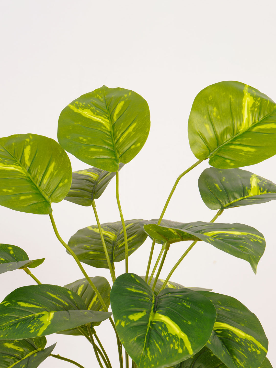Artificial Money Plant - 65cm Tall