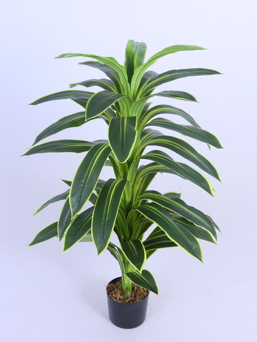 4Ft Artificial Variegated Dracaena Plant in Pot