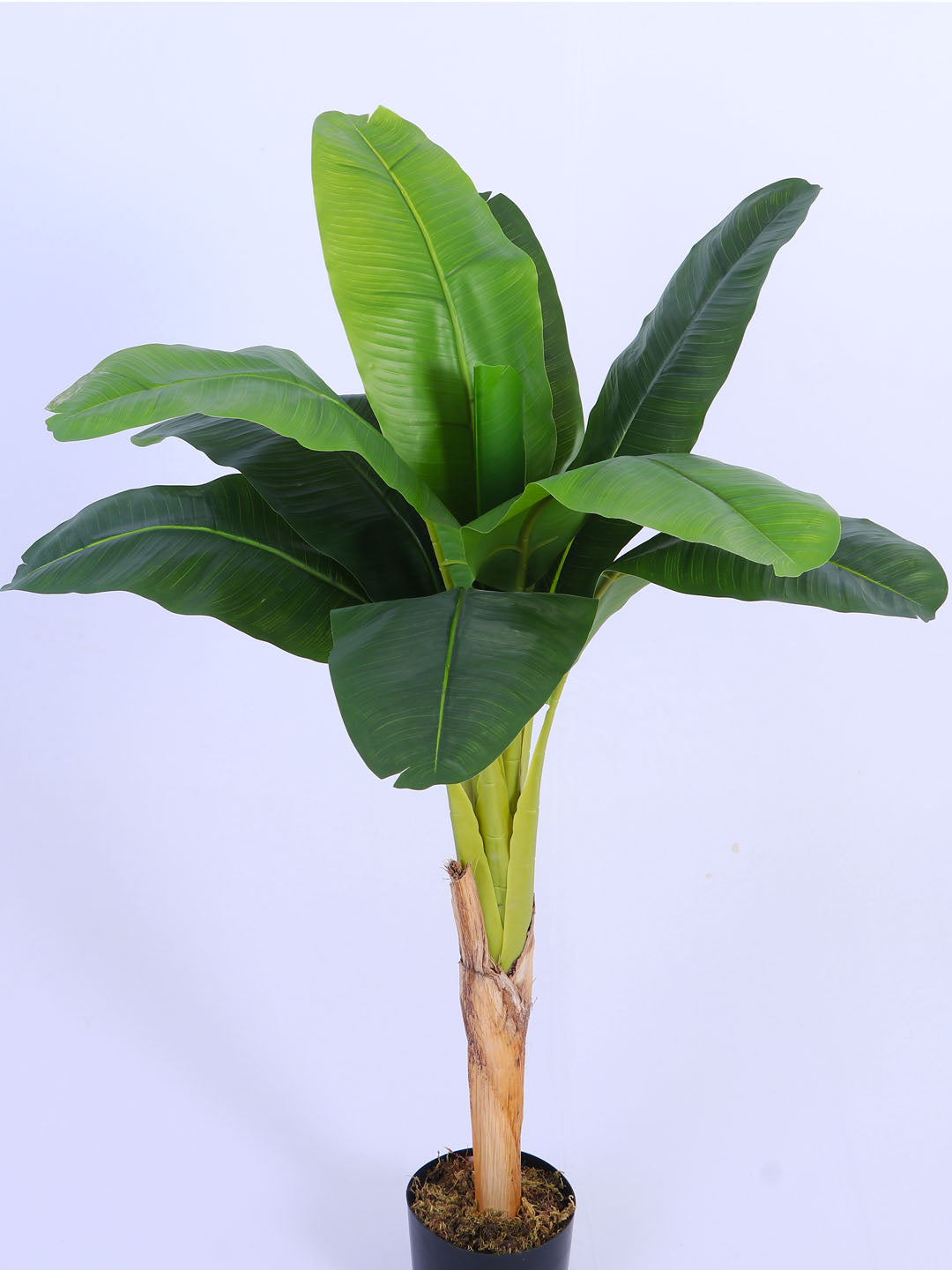 4Ft Artificial Bird of Paradise Plant in Pot