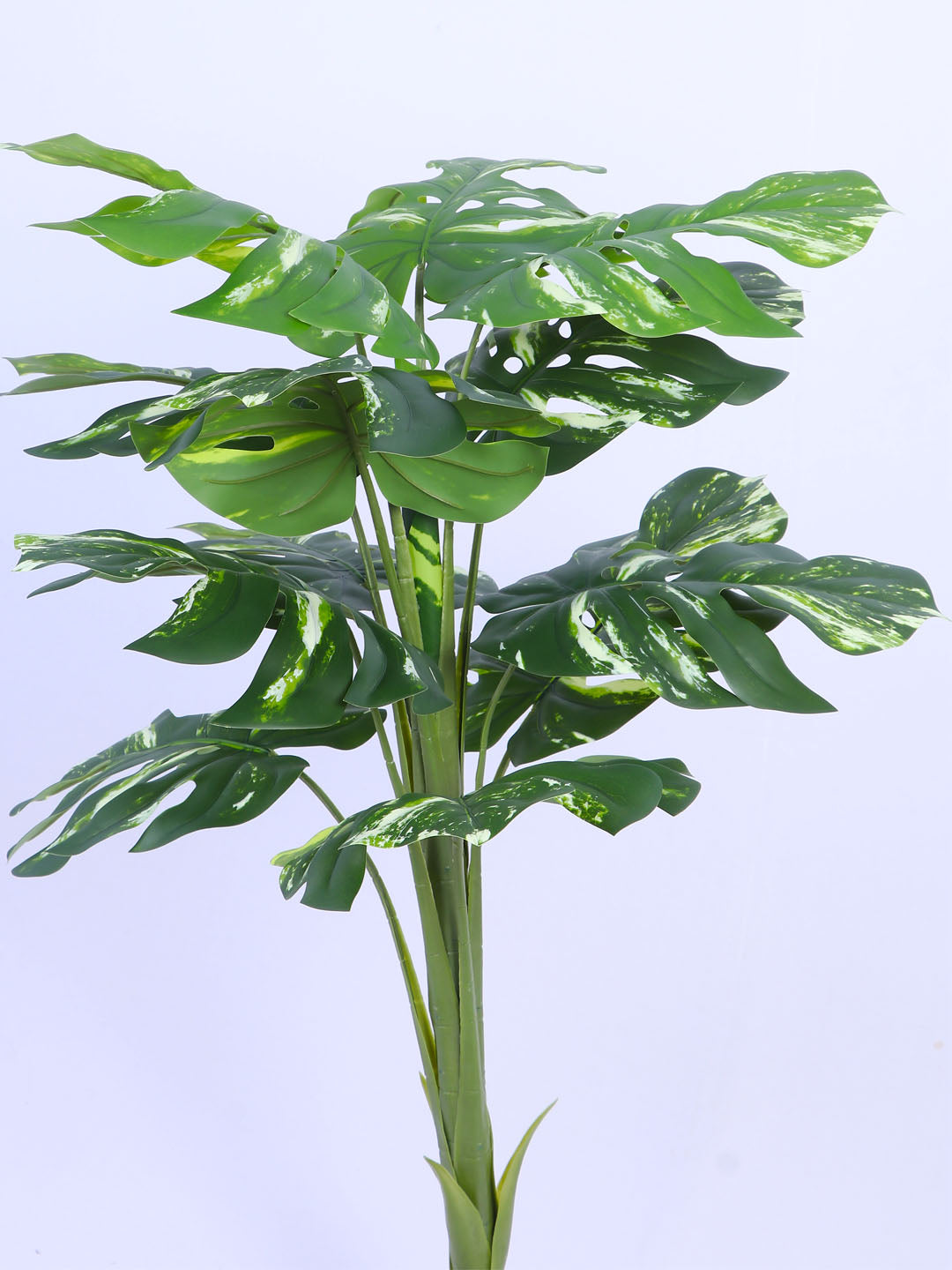 3.1Ft Artificial Variegated Monstera Plant in Pot