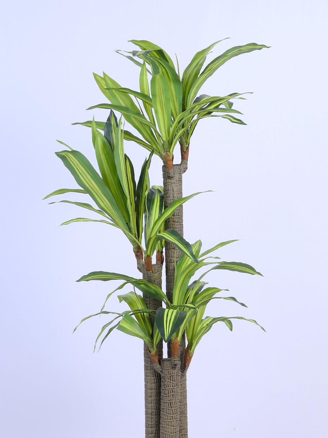 5Ft Artificial Dracaena Reflexa Tree in Pot