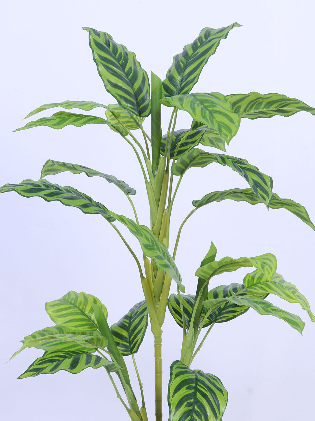 3.1Ft Artificial Dieffenbachia Plant in Pot