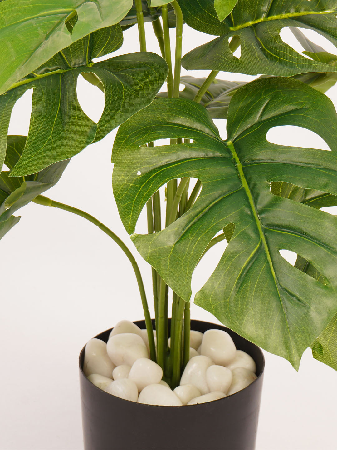 Artificial Monstera Plant - 55cm Tall