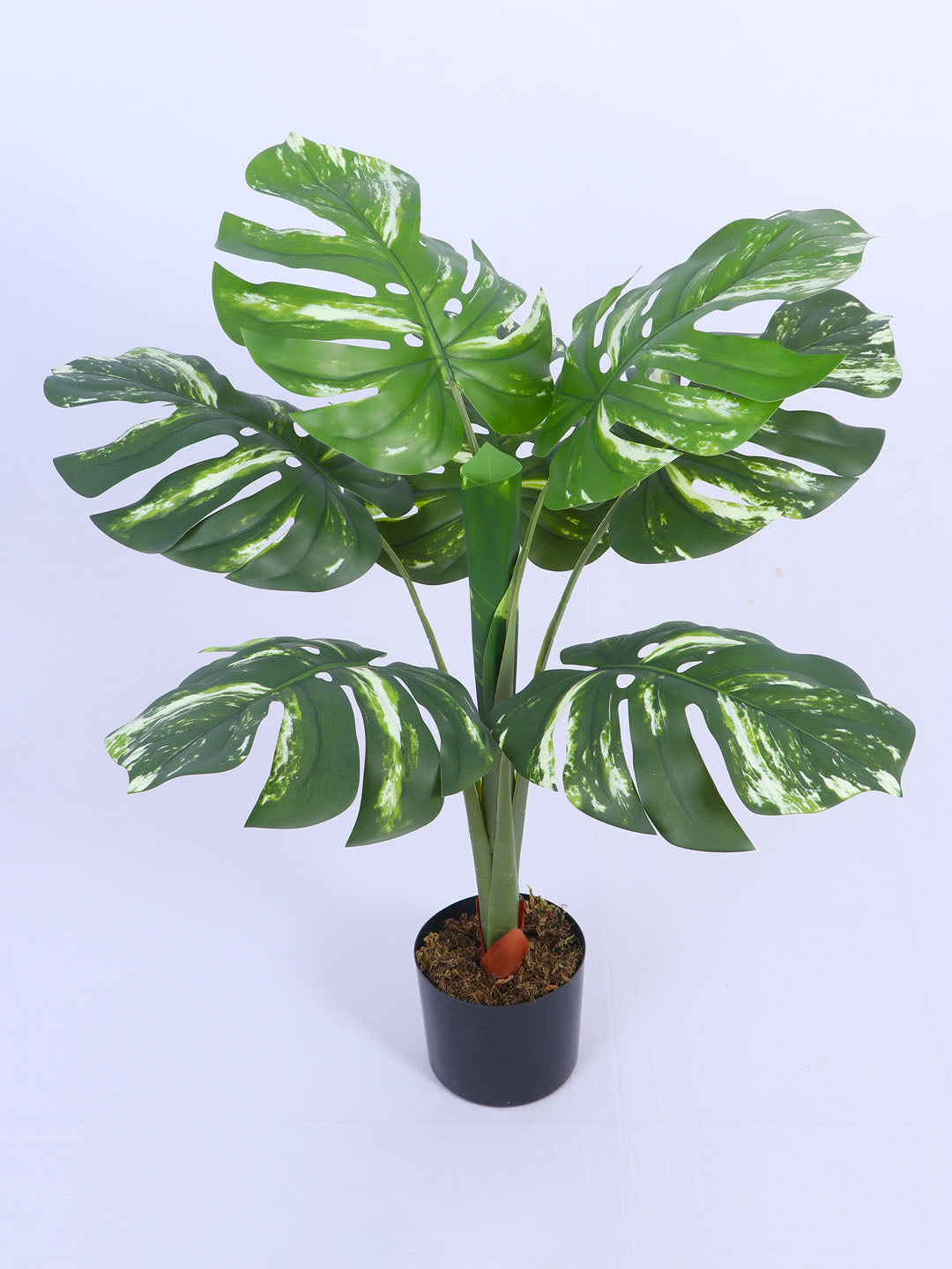 2.8Ft Artificial Variegated Monstera Plant in Pot