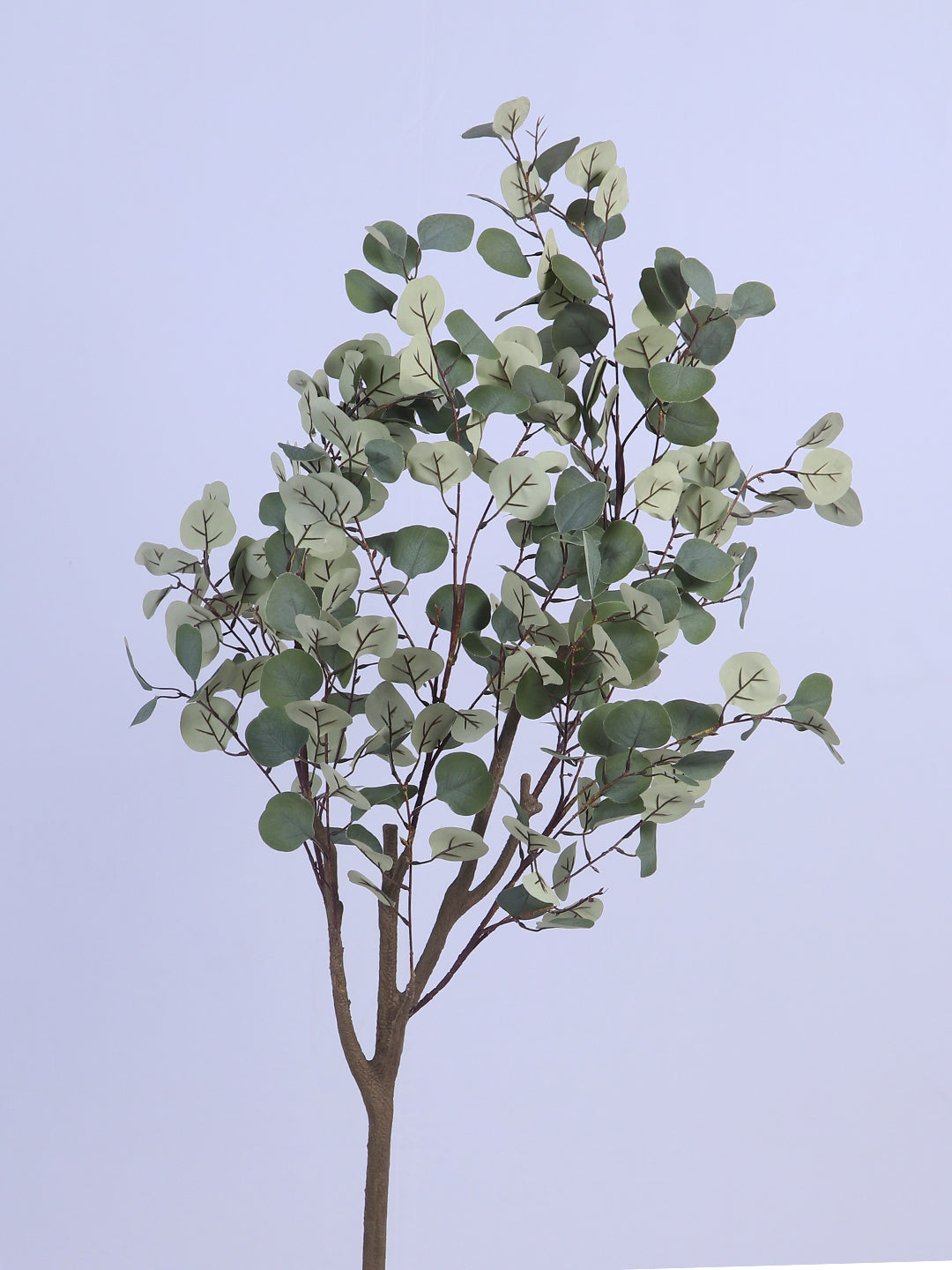 5Ft Artificial Eucalyptus Plant in Black Pot