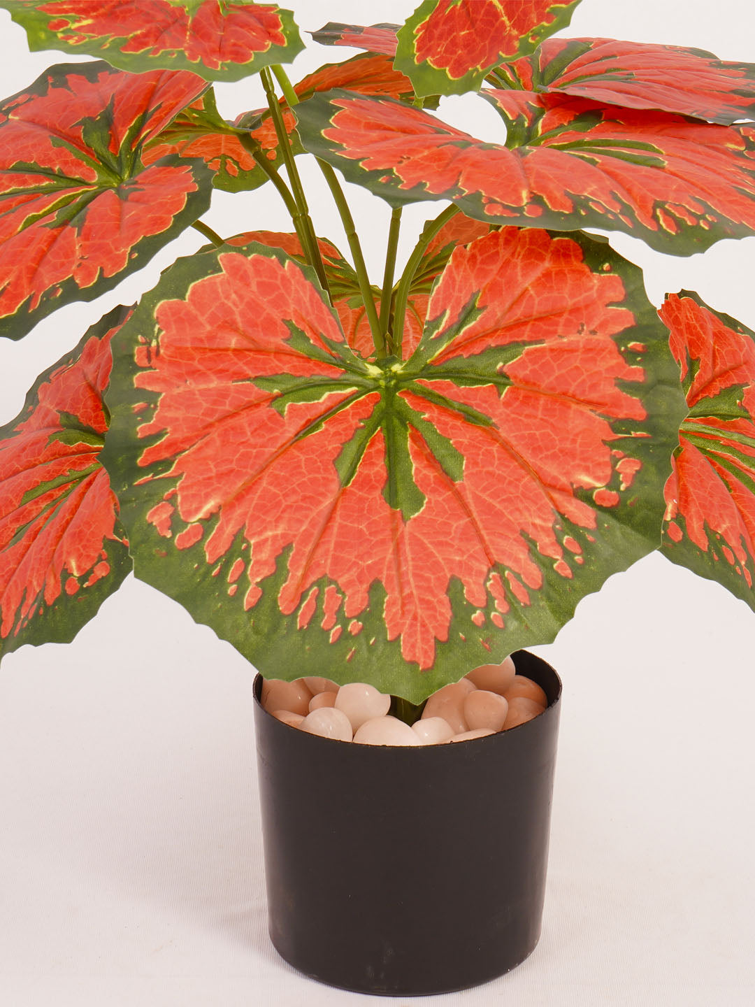 Artificial Calathea Plant - 55cm Tall