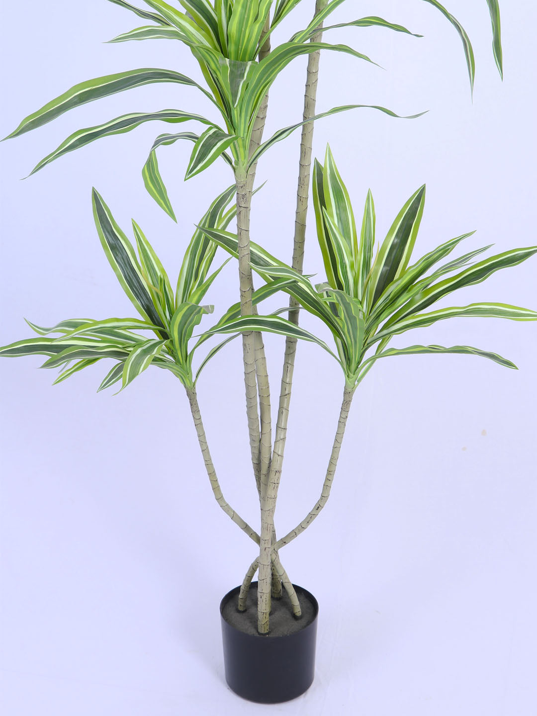 6Ft Artificial Dracaena Plant in Pot